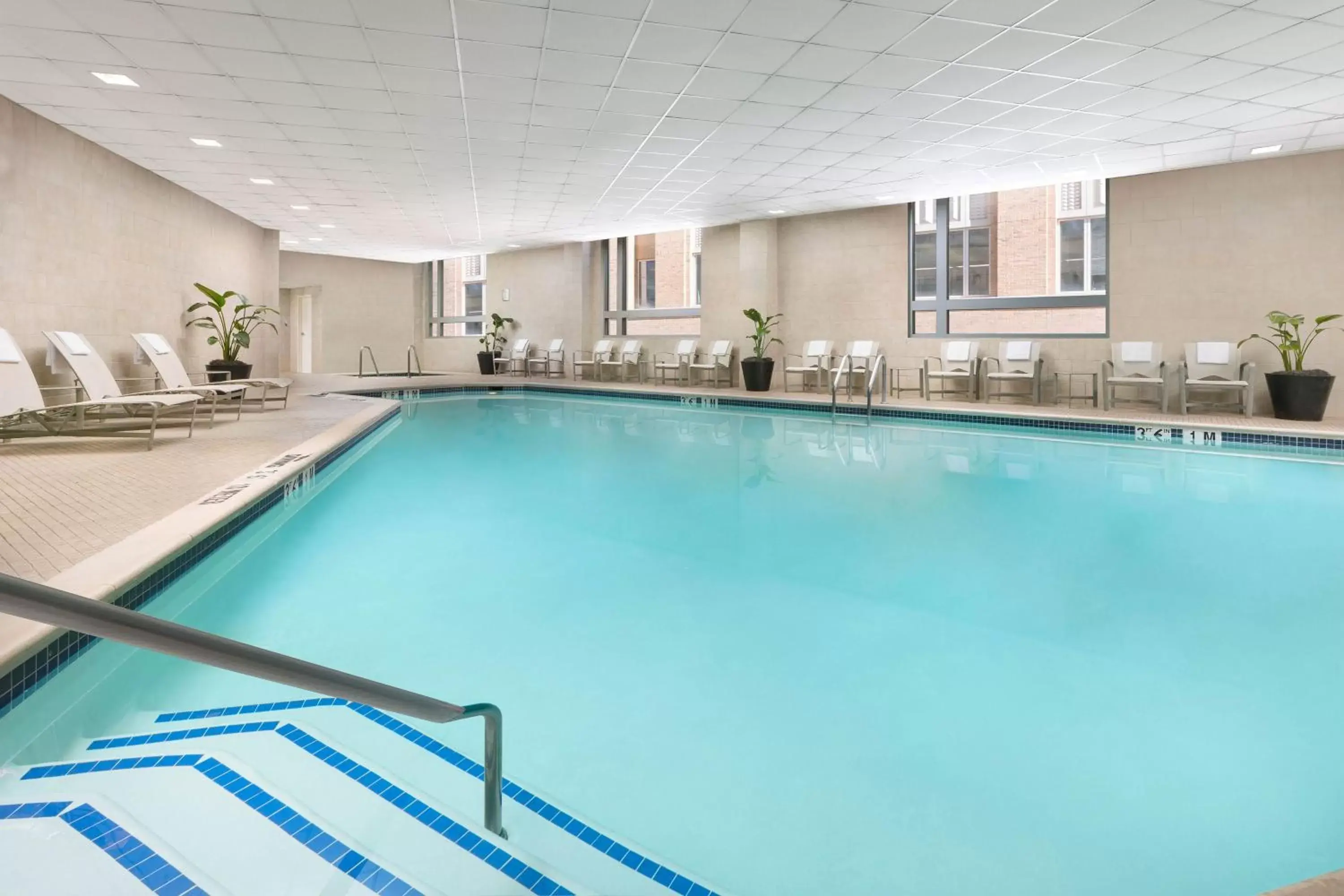 Swimming Pool in The Westin Arlington