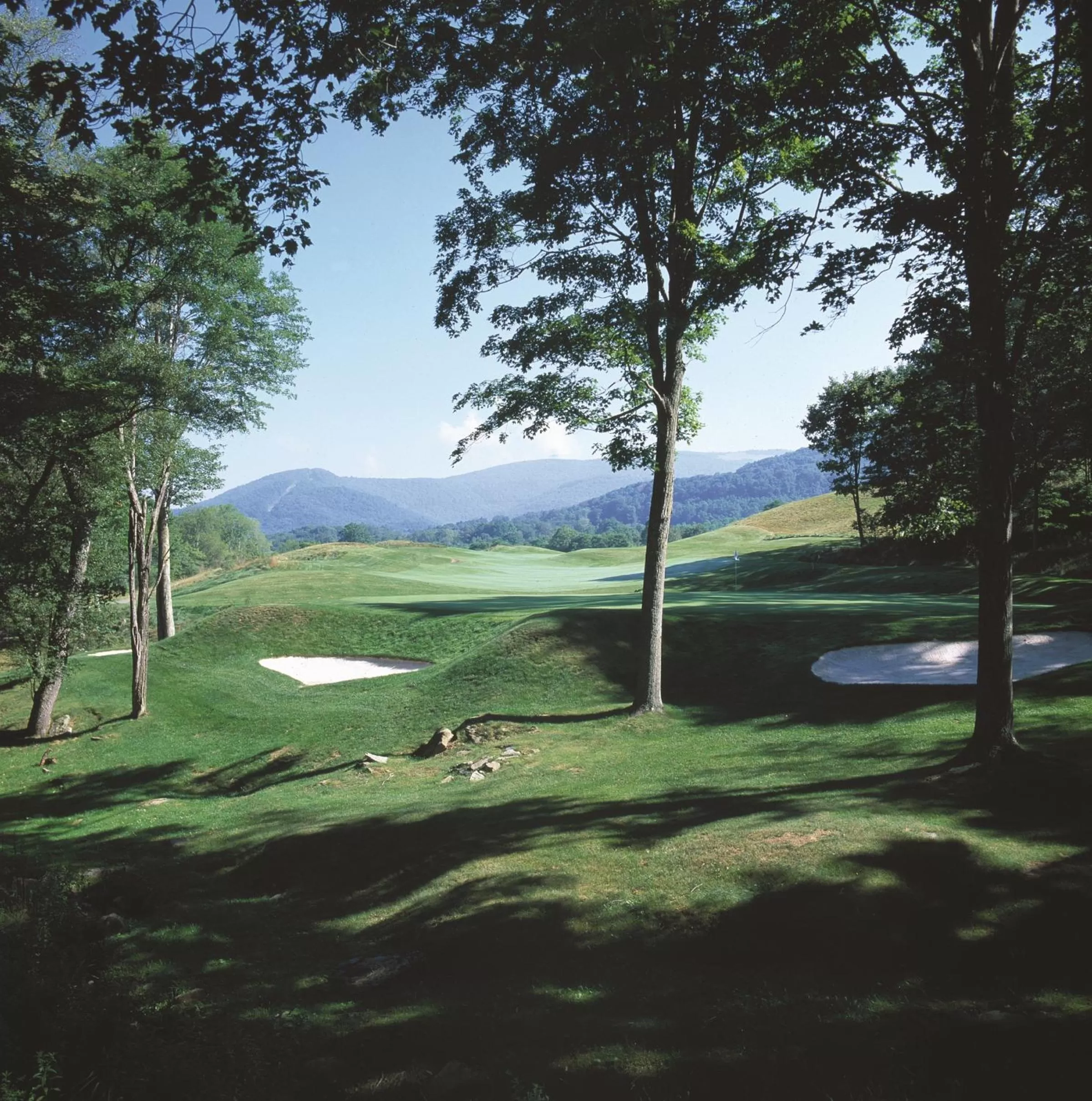 Golfcourse in Allegheny Springs