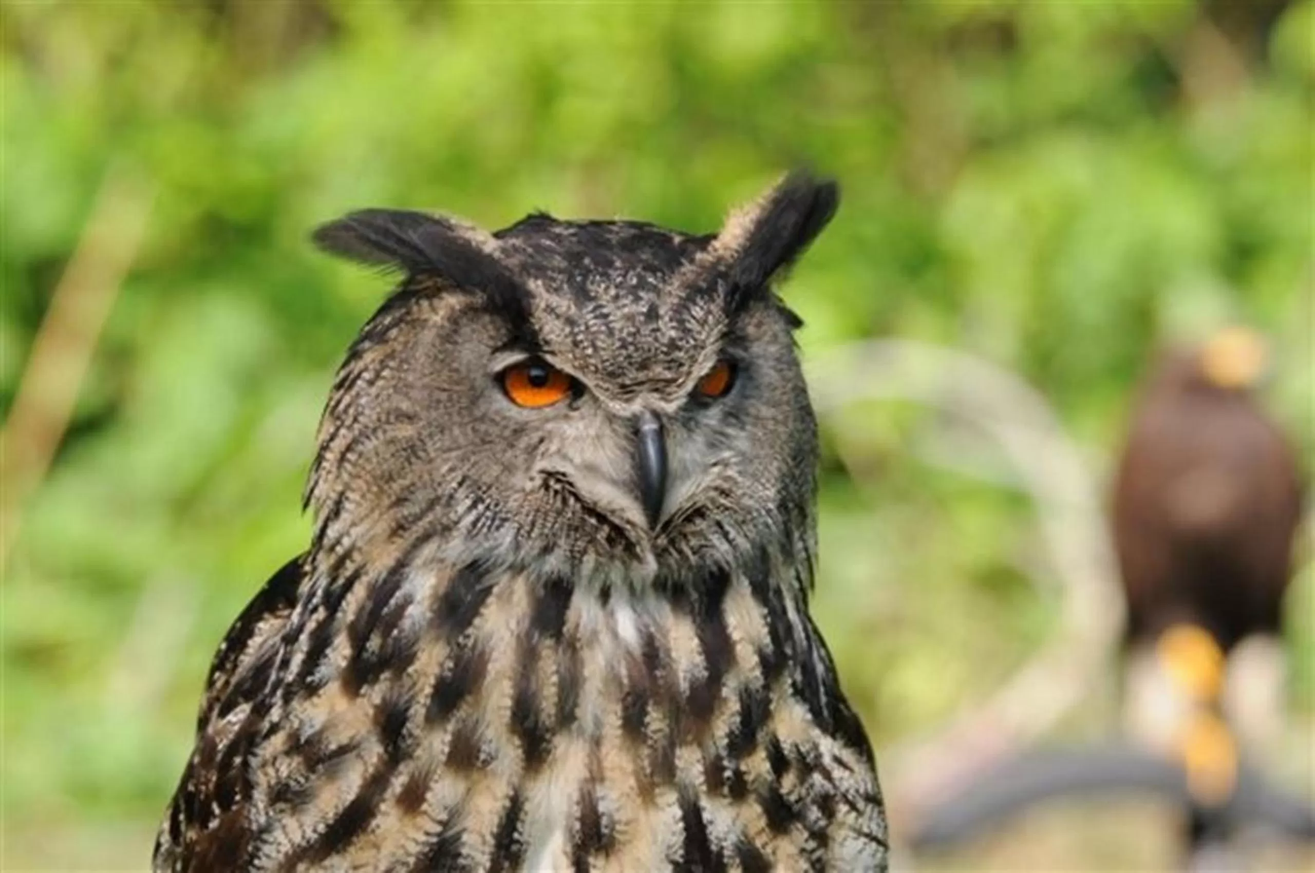 Other in Buitengoed de Panoven