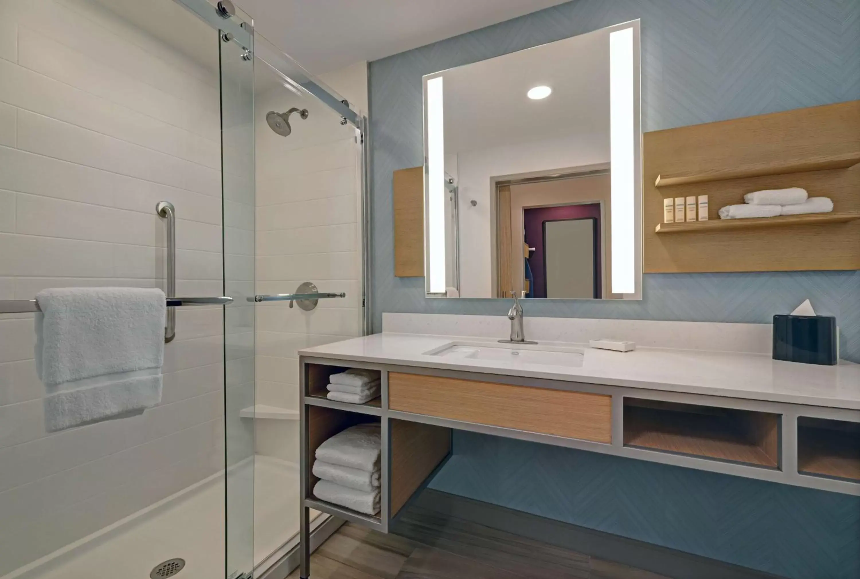 Bathroom in Hilton Garden Inn Manassas