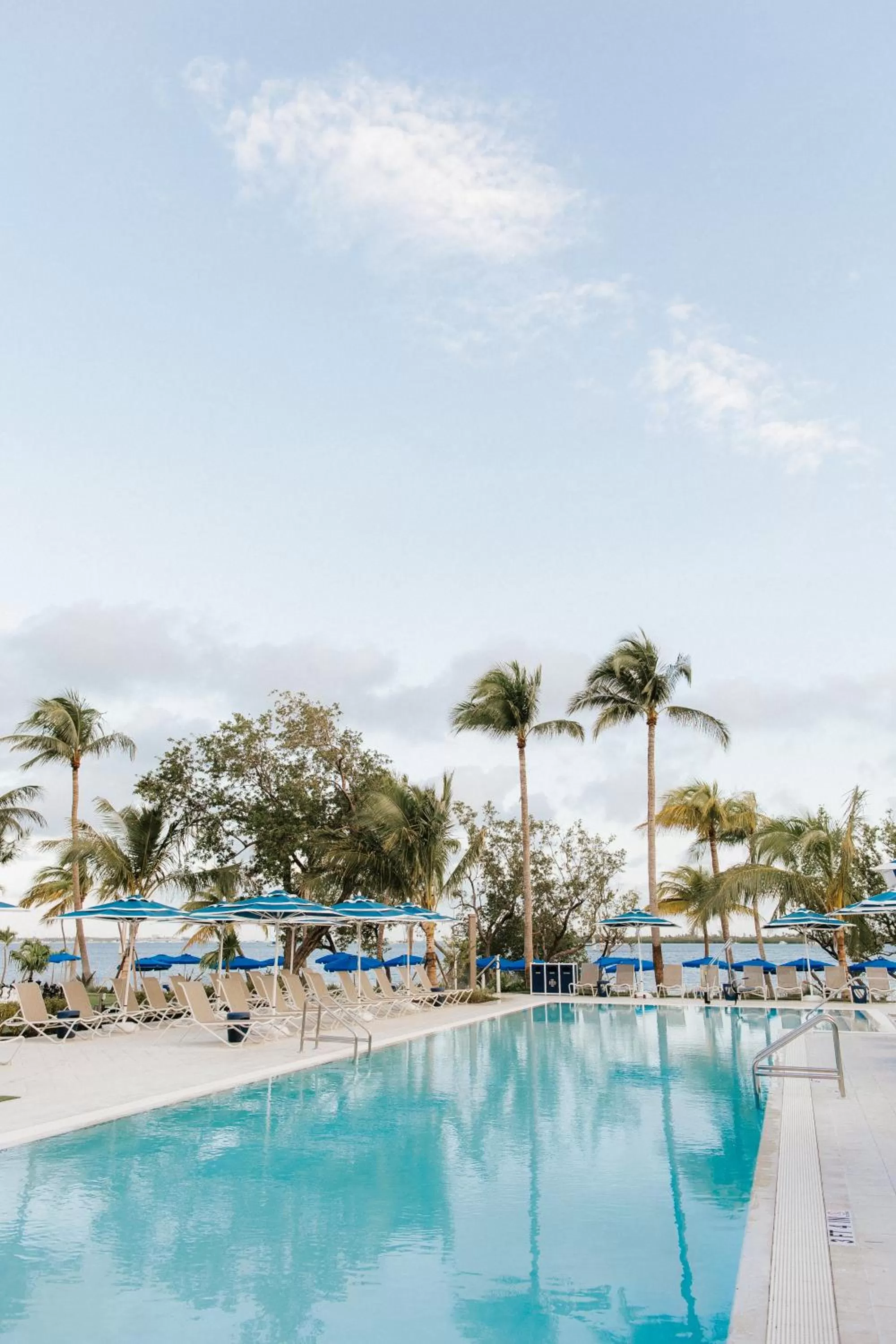 Pool view, Swimming Pool in The Capitana Key West