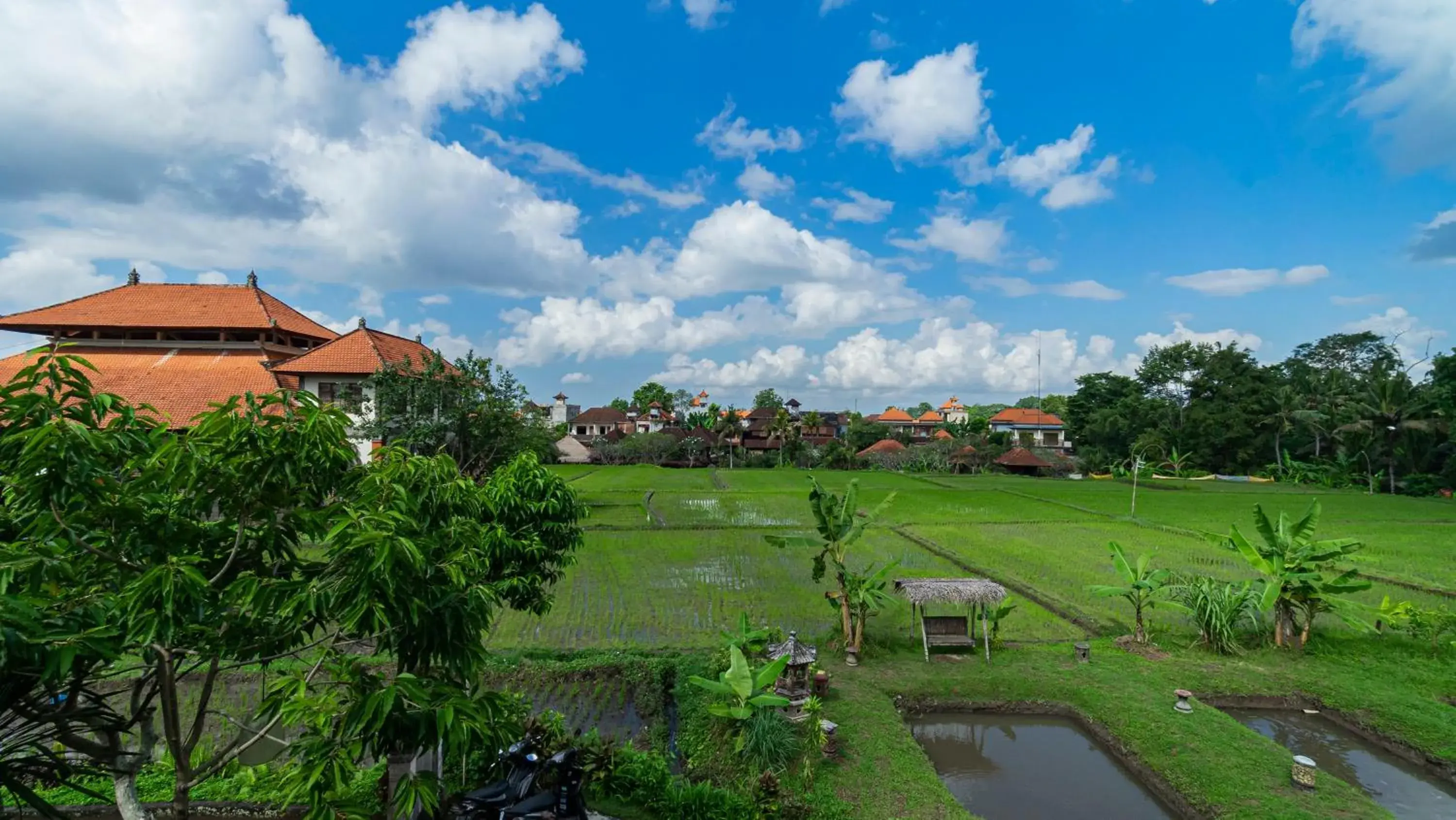 Garden view in Kun Kun Guest House