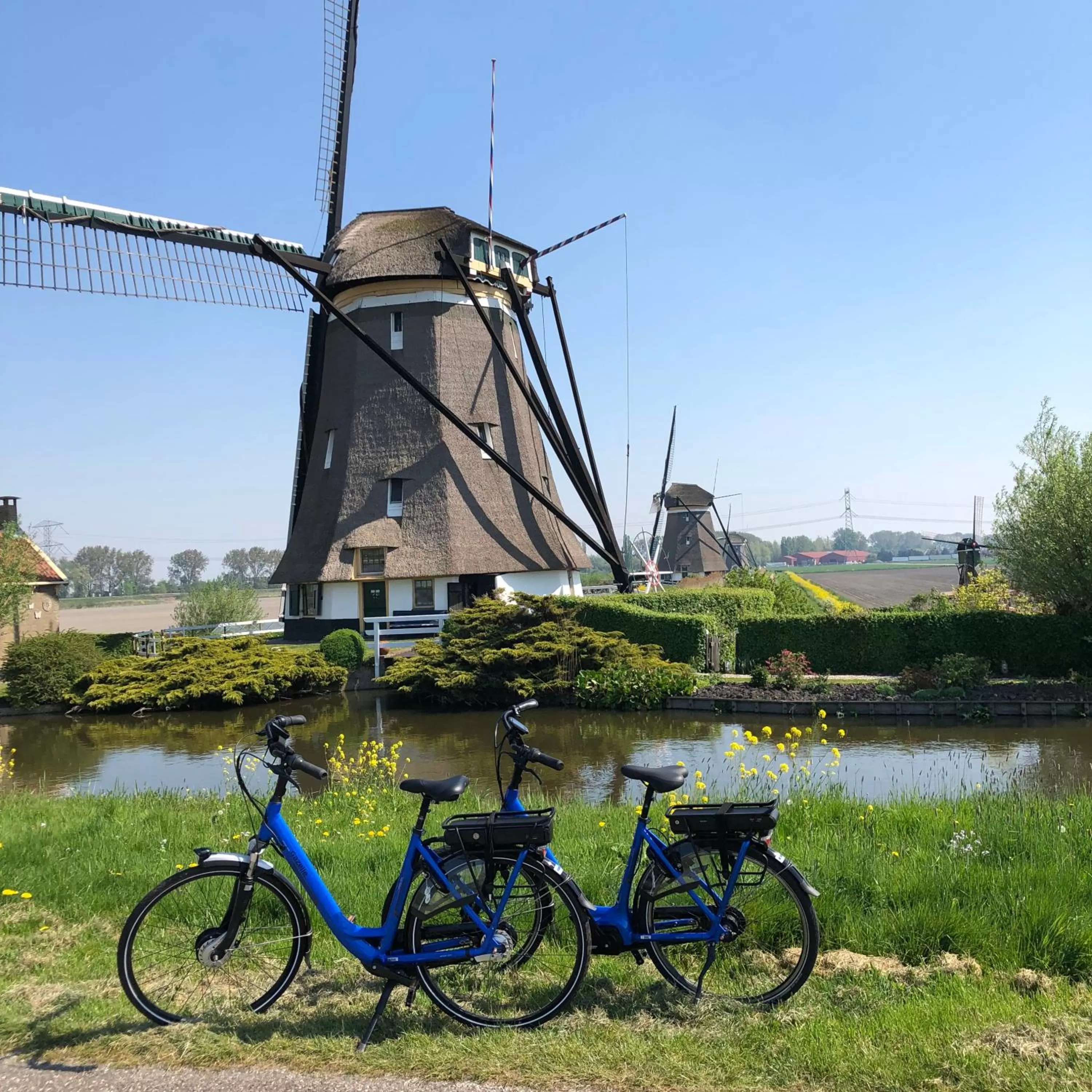 Nearby landmark in B&B Bleiswijk
