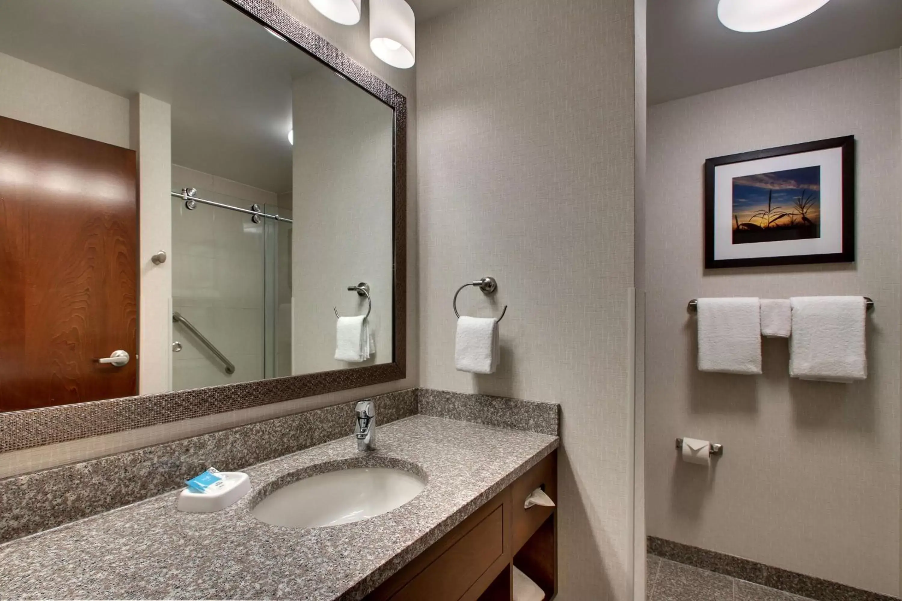 Bathroom in Drury Inn & Suites Iowa City Coralville