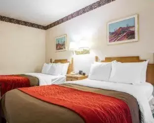 Efficiency King Room - Non Smoking in Comfort Inn Camp Verde I-17