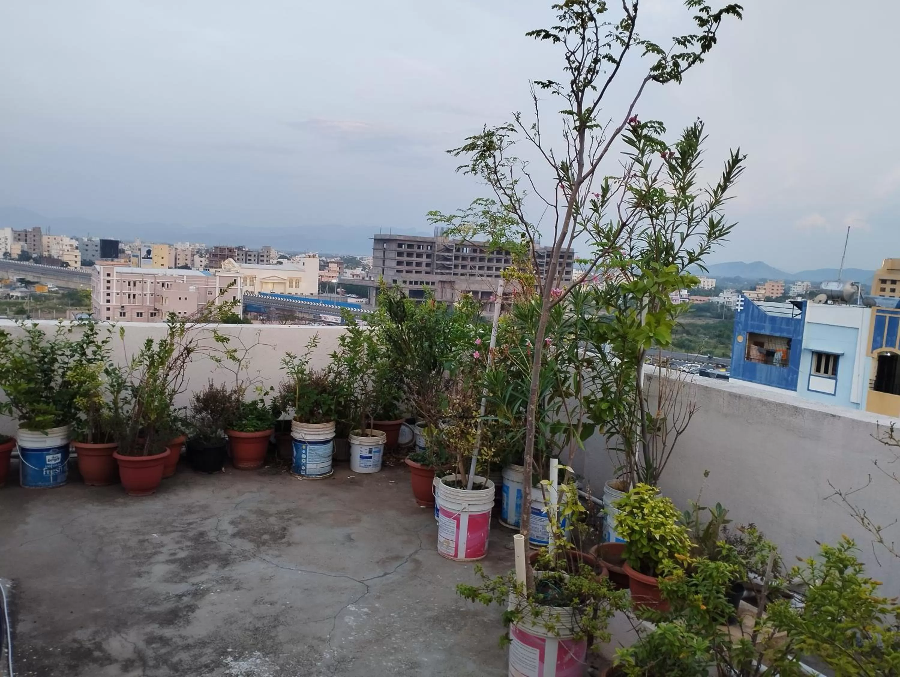 Garden in SLS Homestay