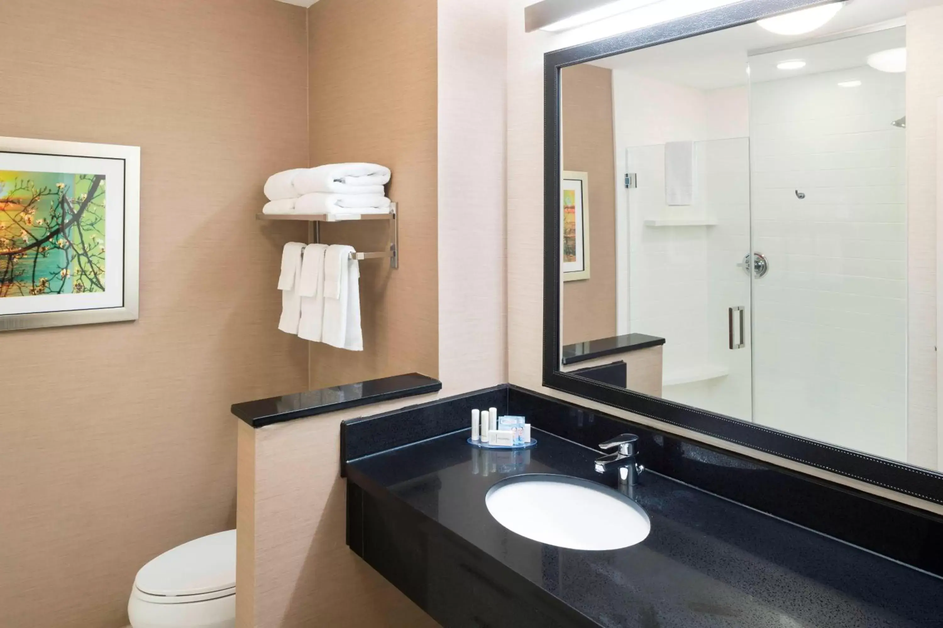 Bathroom in Fairfield Inn & Suites by Marriott Houston Pasadena