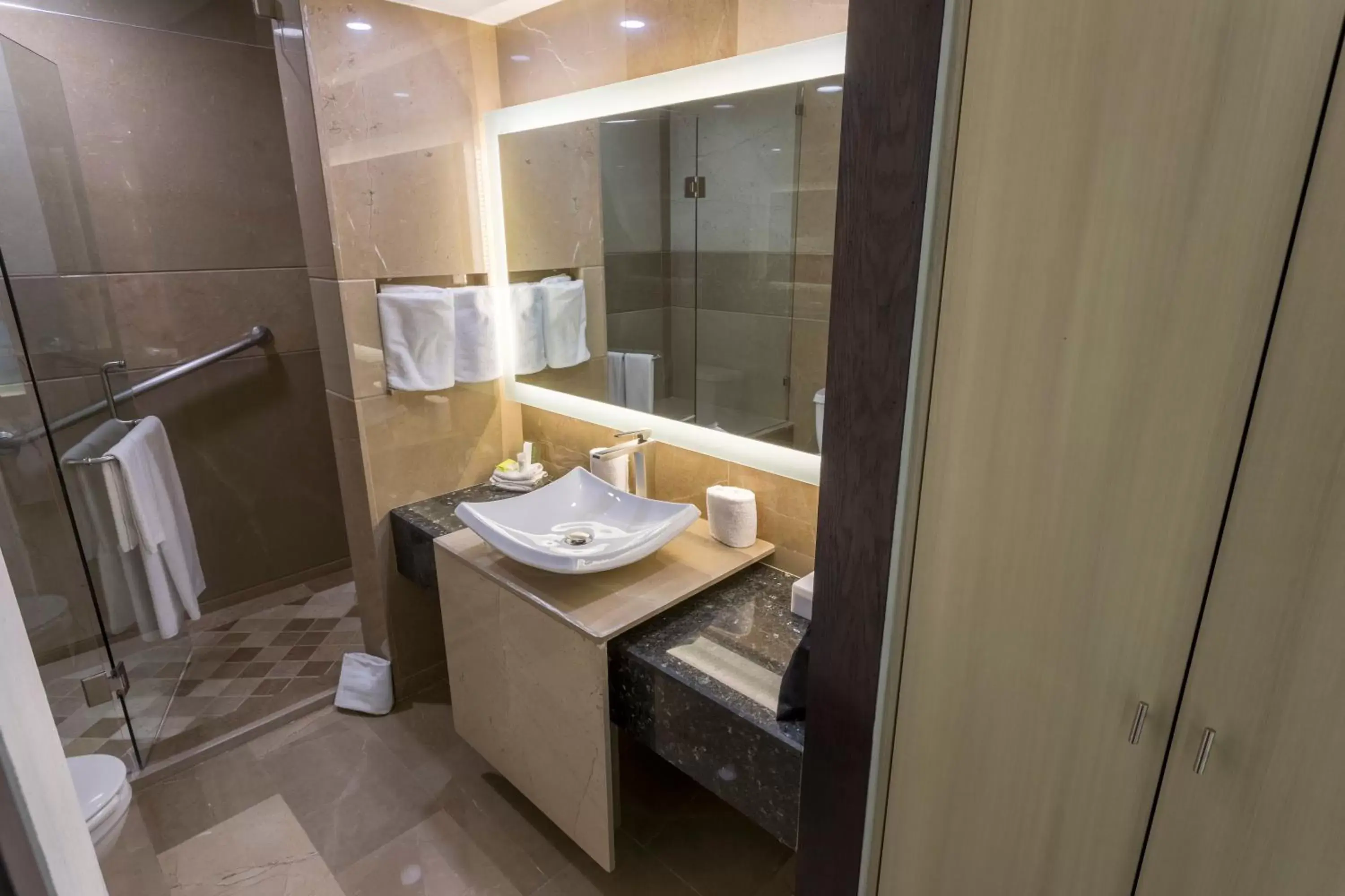 Bathroom in Holiday Inn Queretaro Zona Diamante, an IHG Hotel
