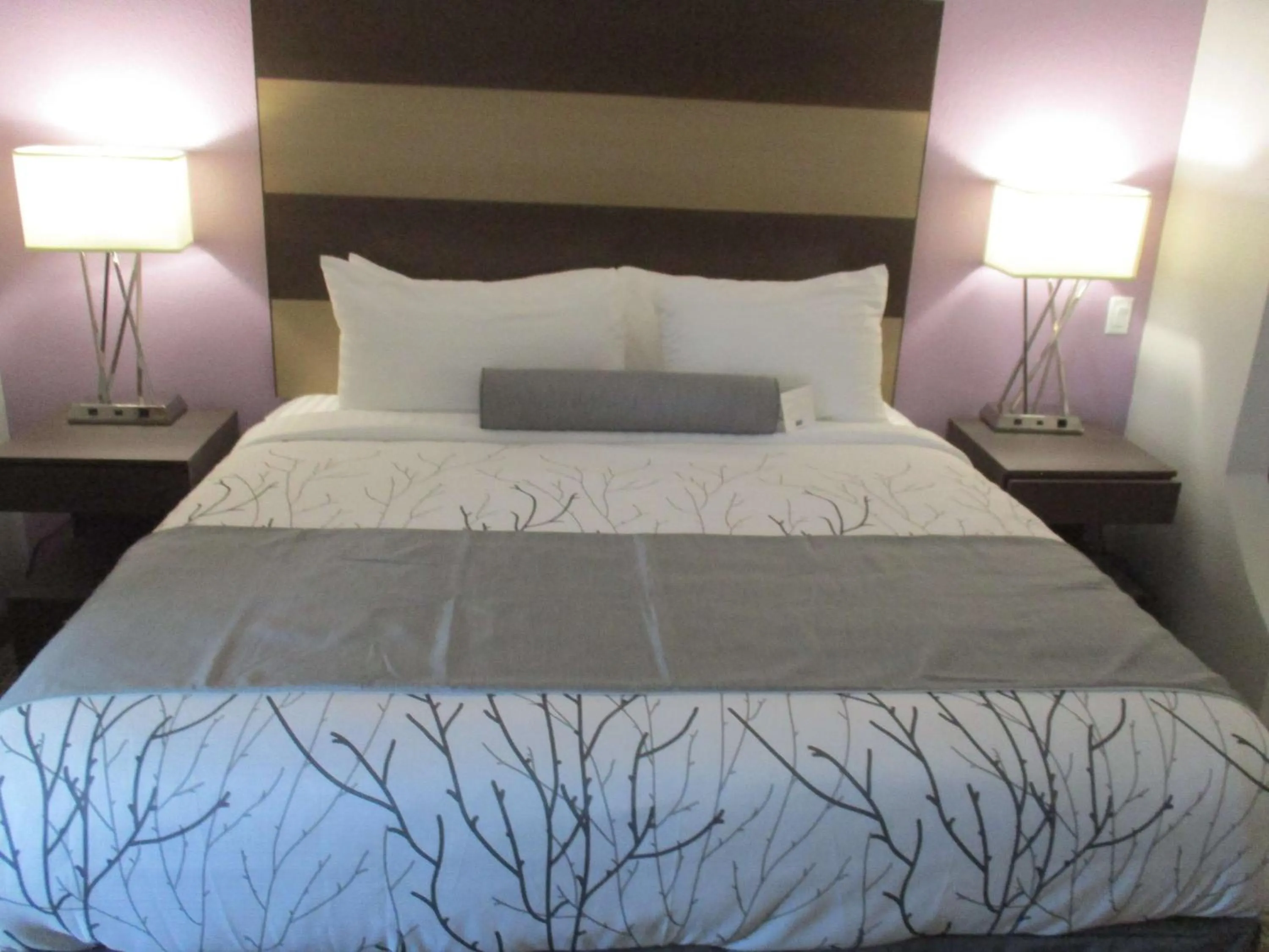 King Suite - Communication Assistance in Best Western Plus Buda Austin Inn & Suites