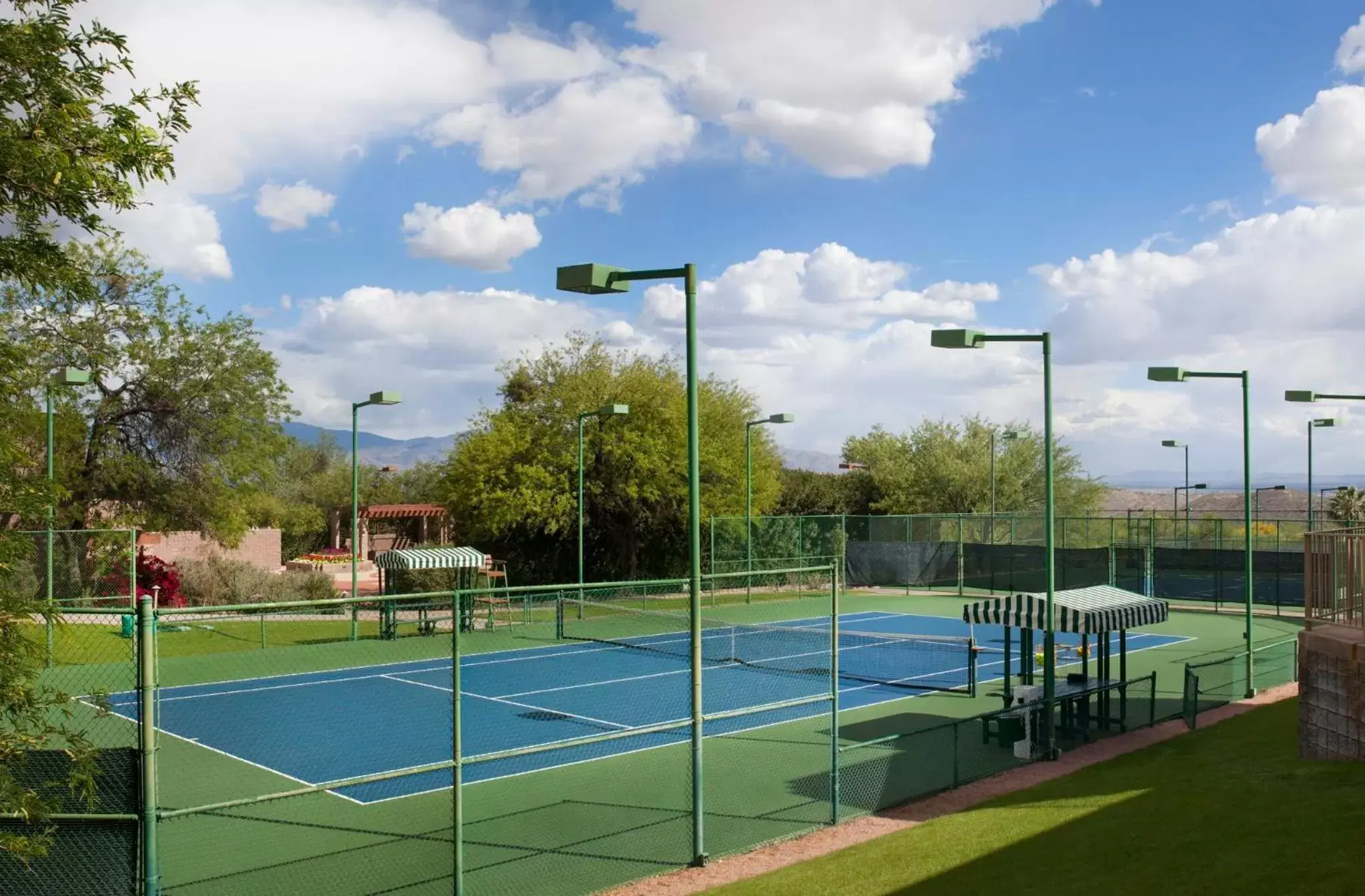 Area and facilities, Tennis/Squash in Loews Ventana Canyon Resort