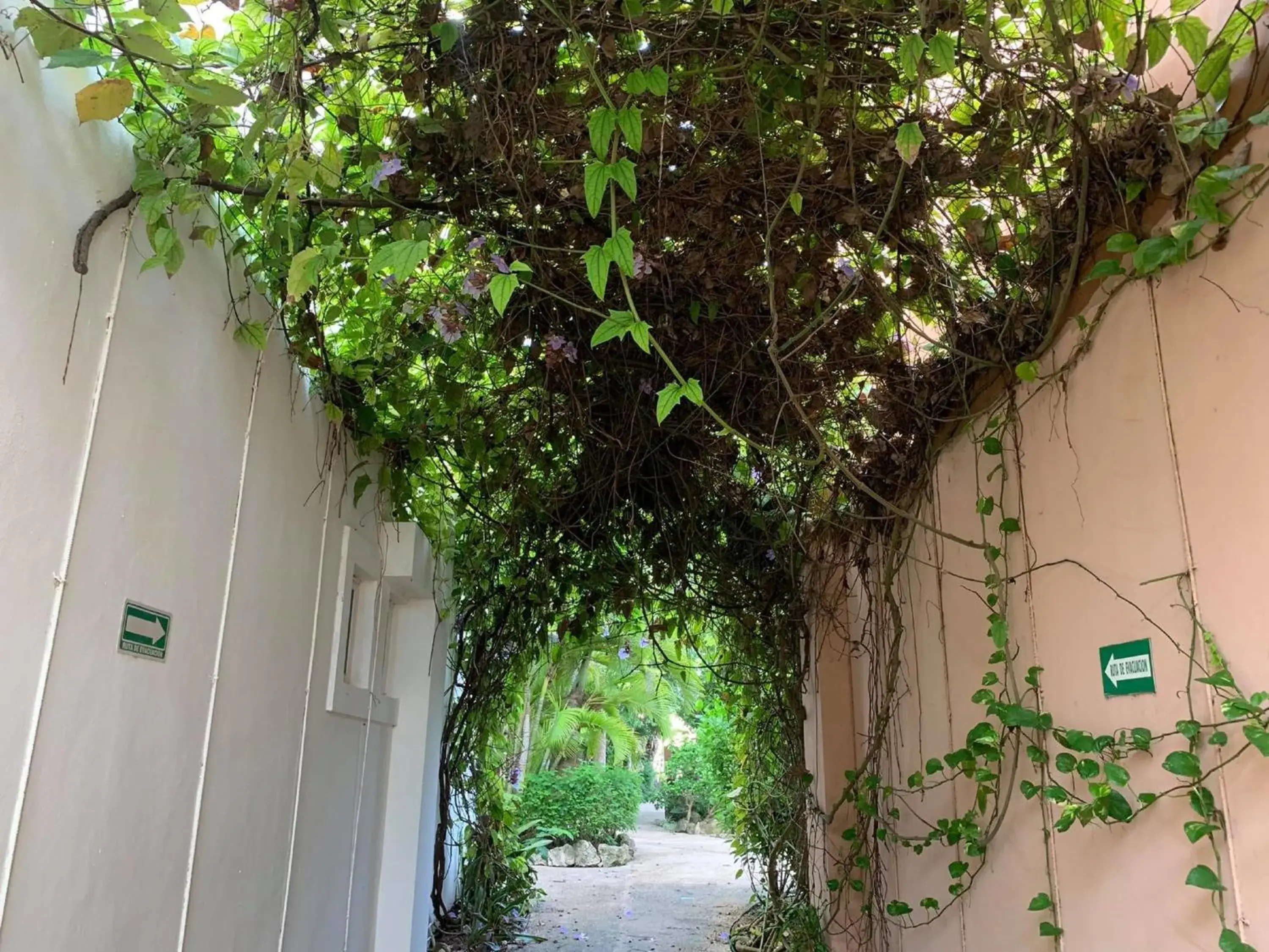 Garden in Villas Bakalar