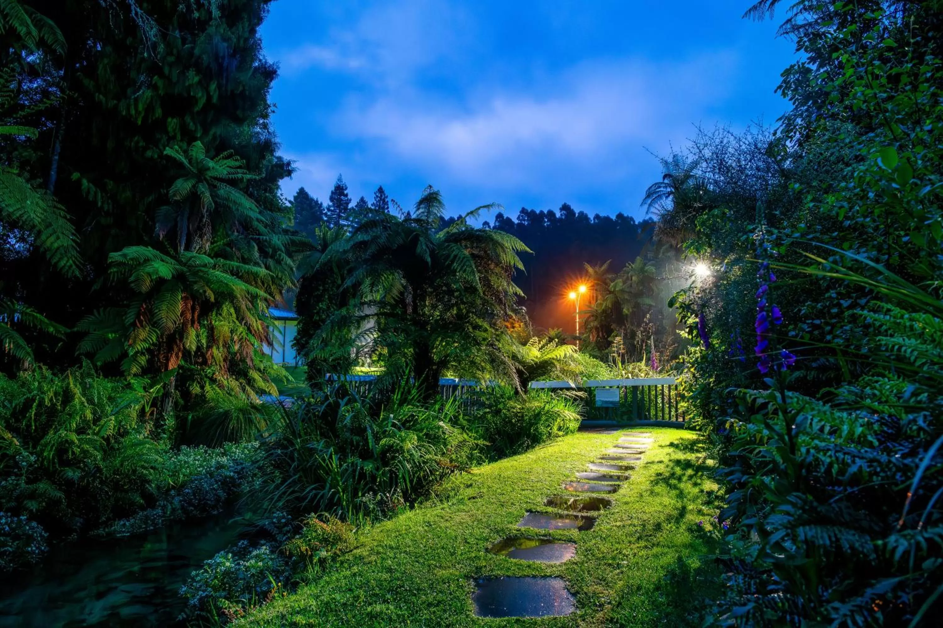 River view, Garden in Best Western Braeside Rotorua