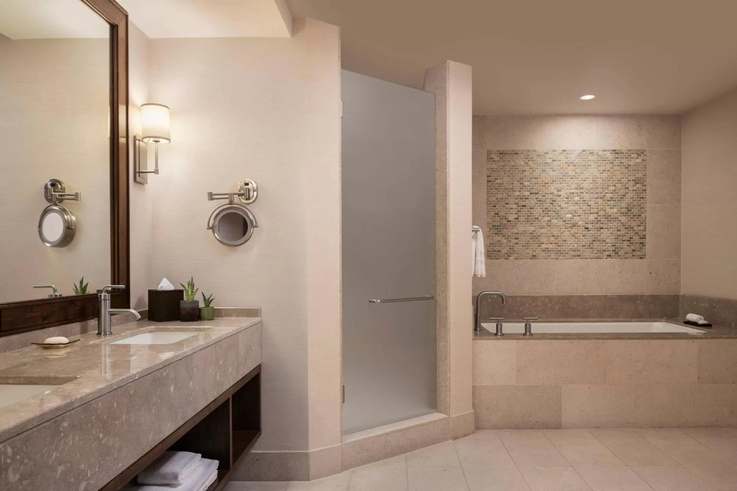 Bathroom in The Ritz-Carlton, Dove Mountain