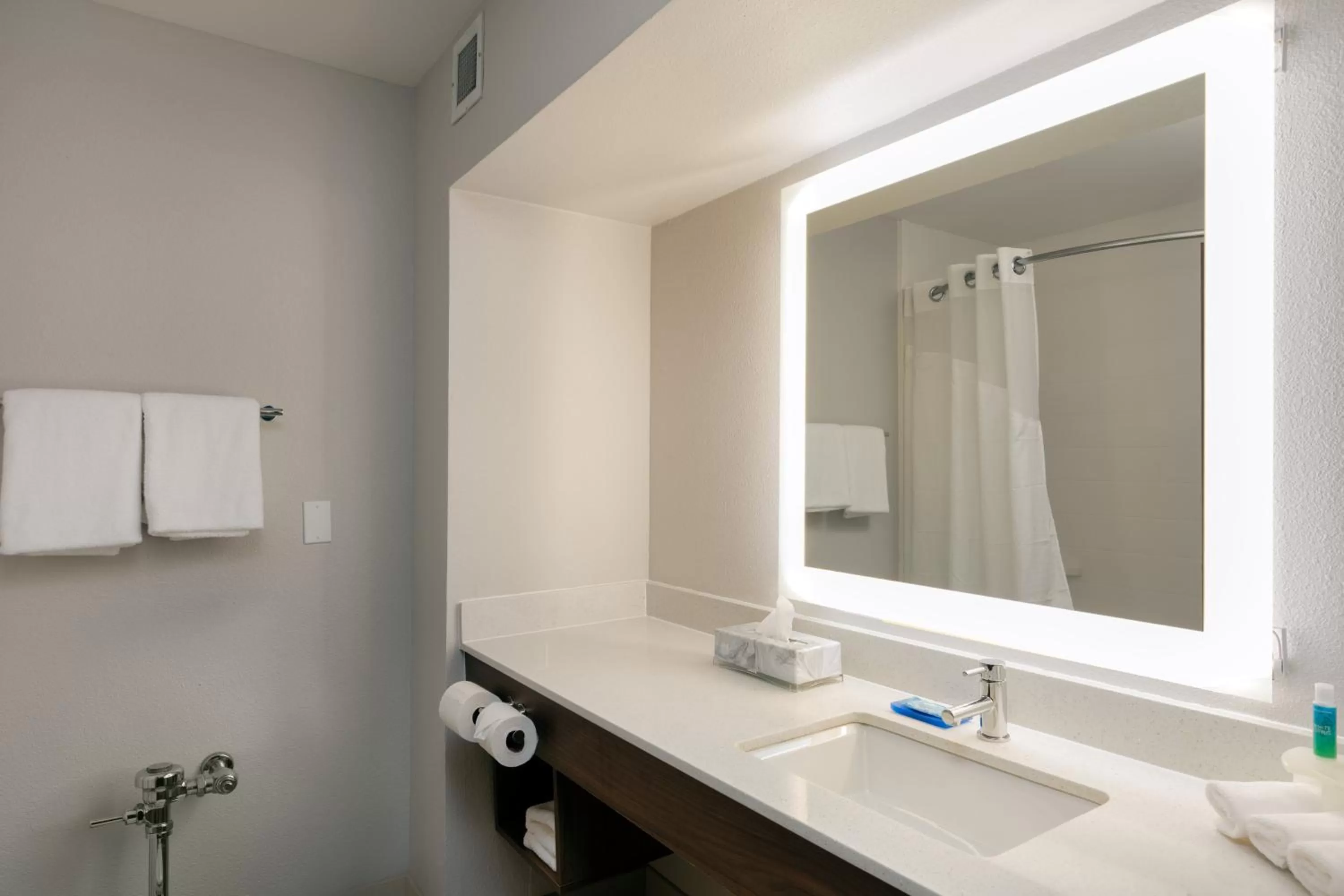 Bathroom in Holiday Inn Express & Suites Milton East I-10 by IHG