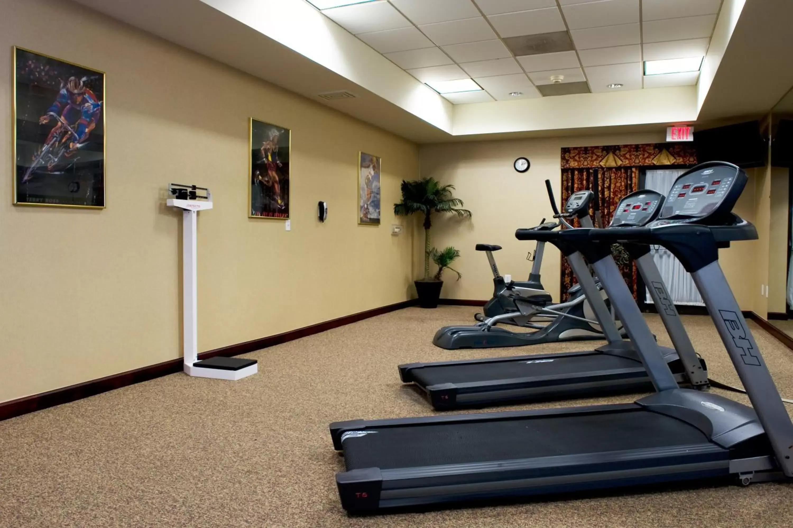 Fitness centre/facilities, Fitness Center/Facilities in Holiday Inn Express Hotel & Suites Dallas Fort Worth Airport South, an IHG Hotel