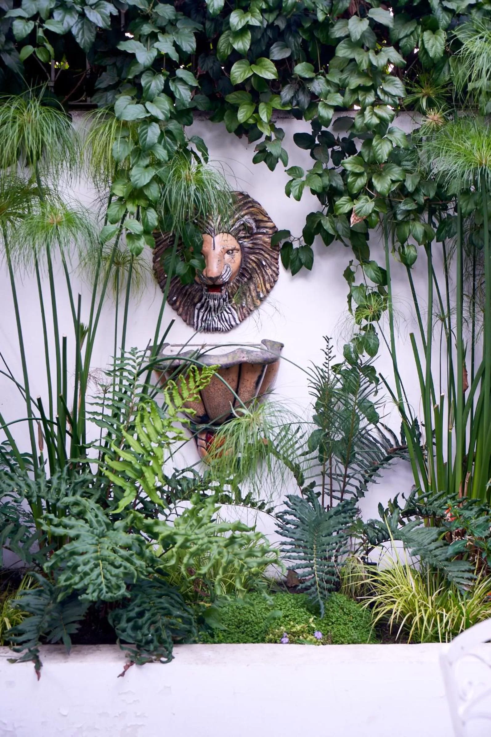 Patio in Fortunata Chacana Guest House