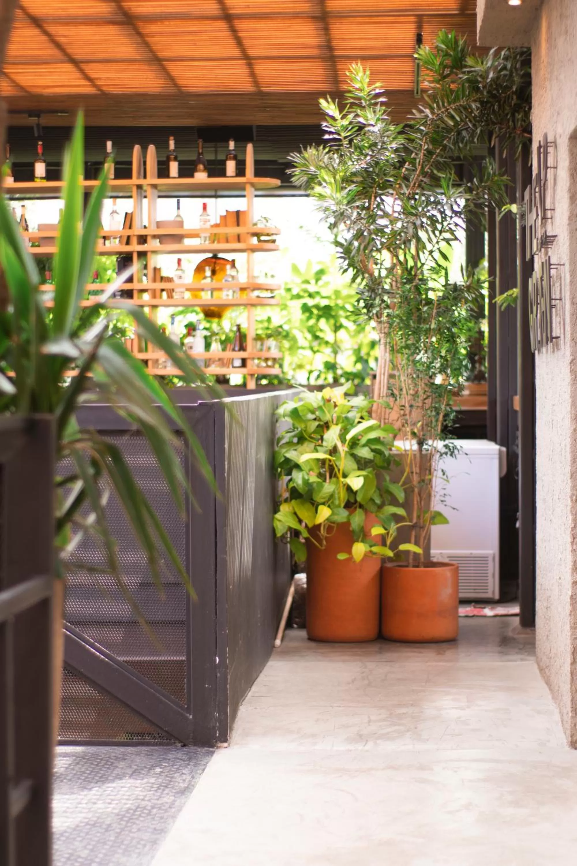 Garden view in The Art Hotel Medellin