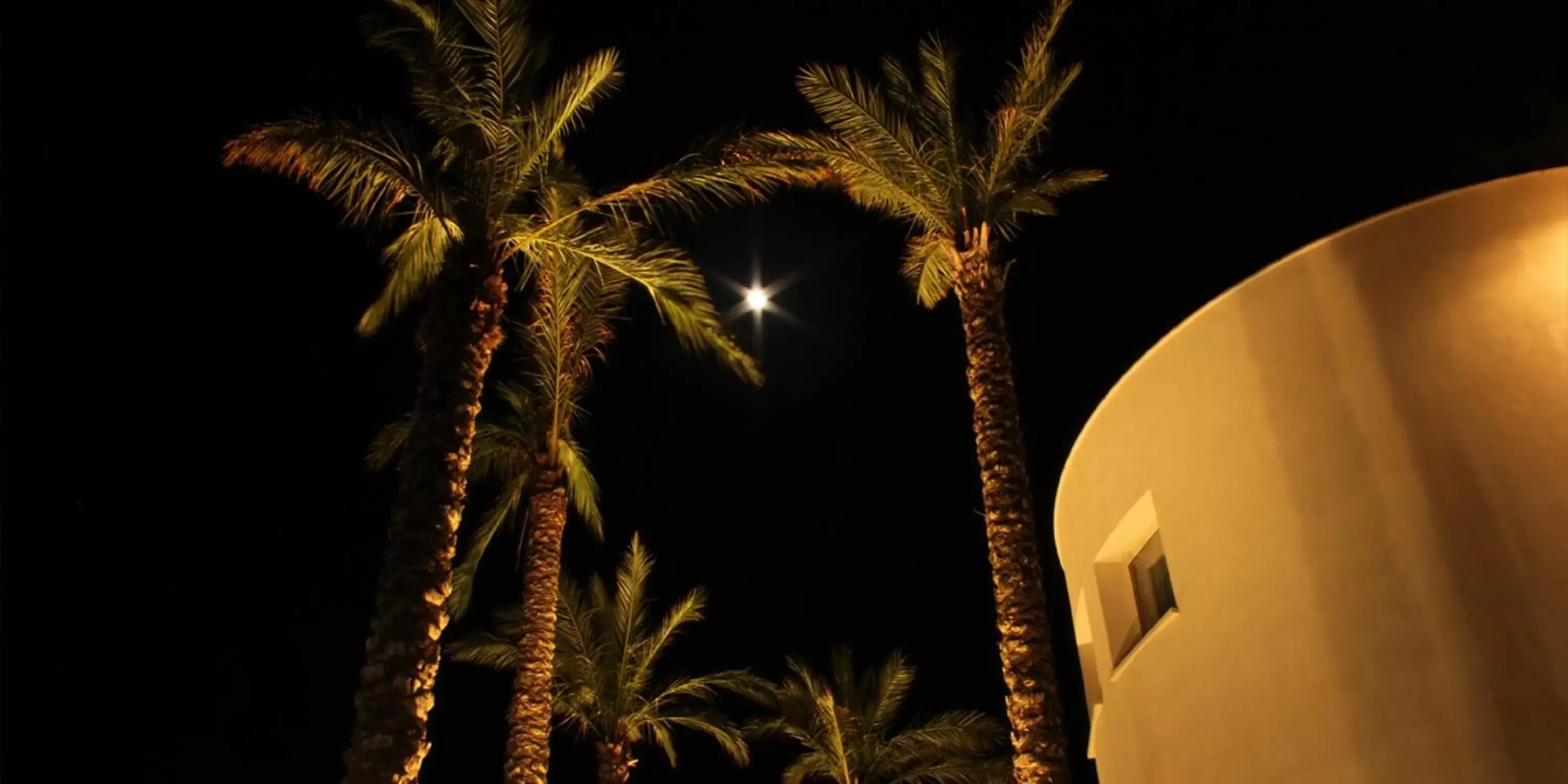 Garden, Evening Entertainment in Palazzo Giordano Bruno