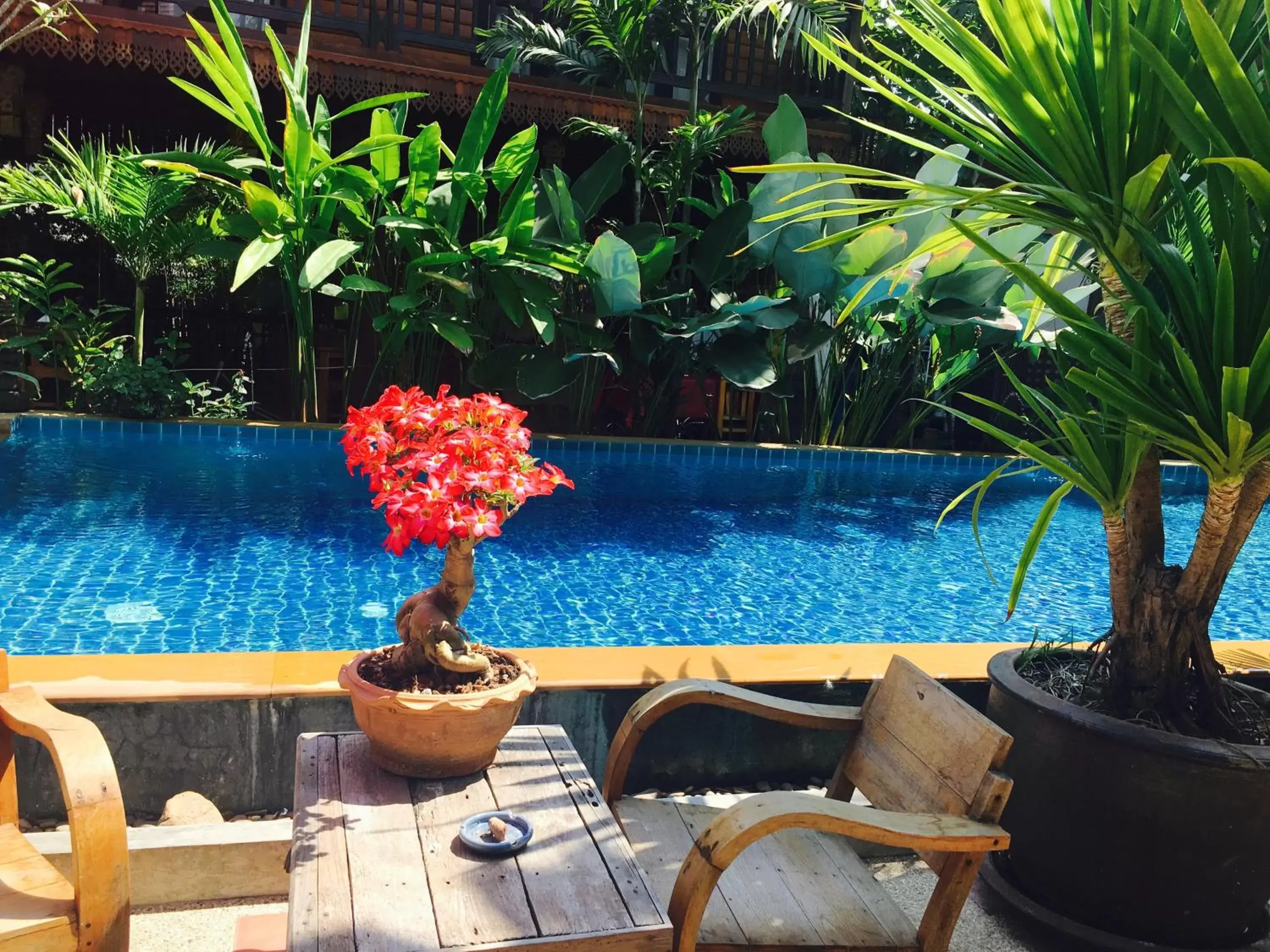 Swimming Pool in Hongkhao Village