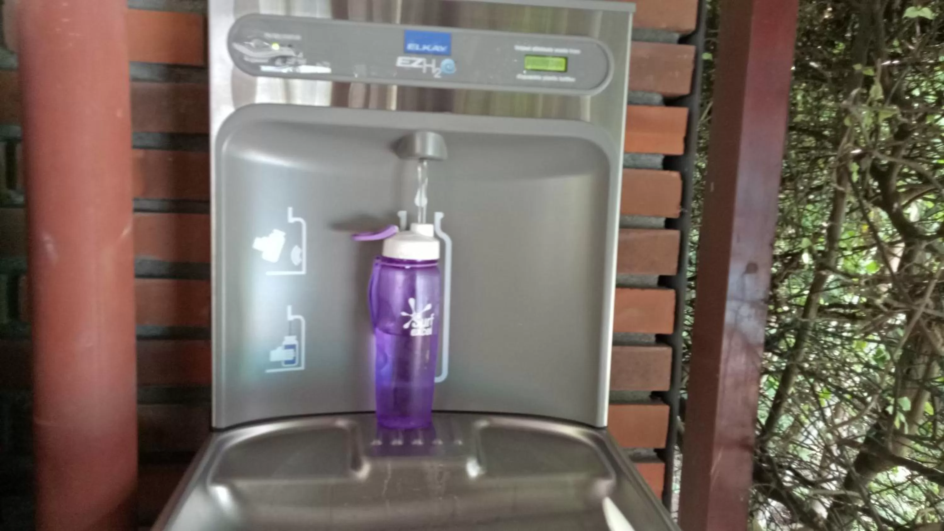 Area and facilities in Palms Villa