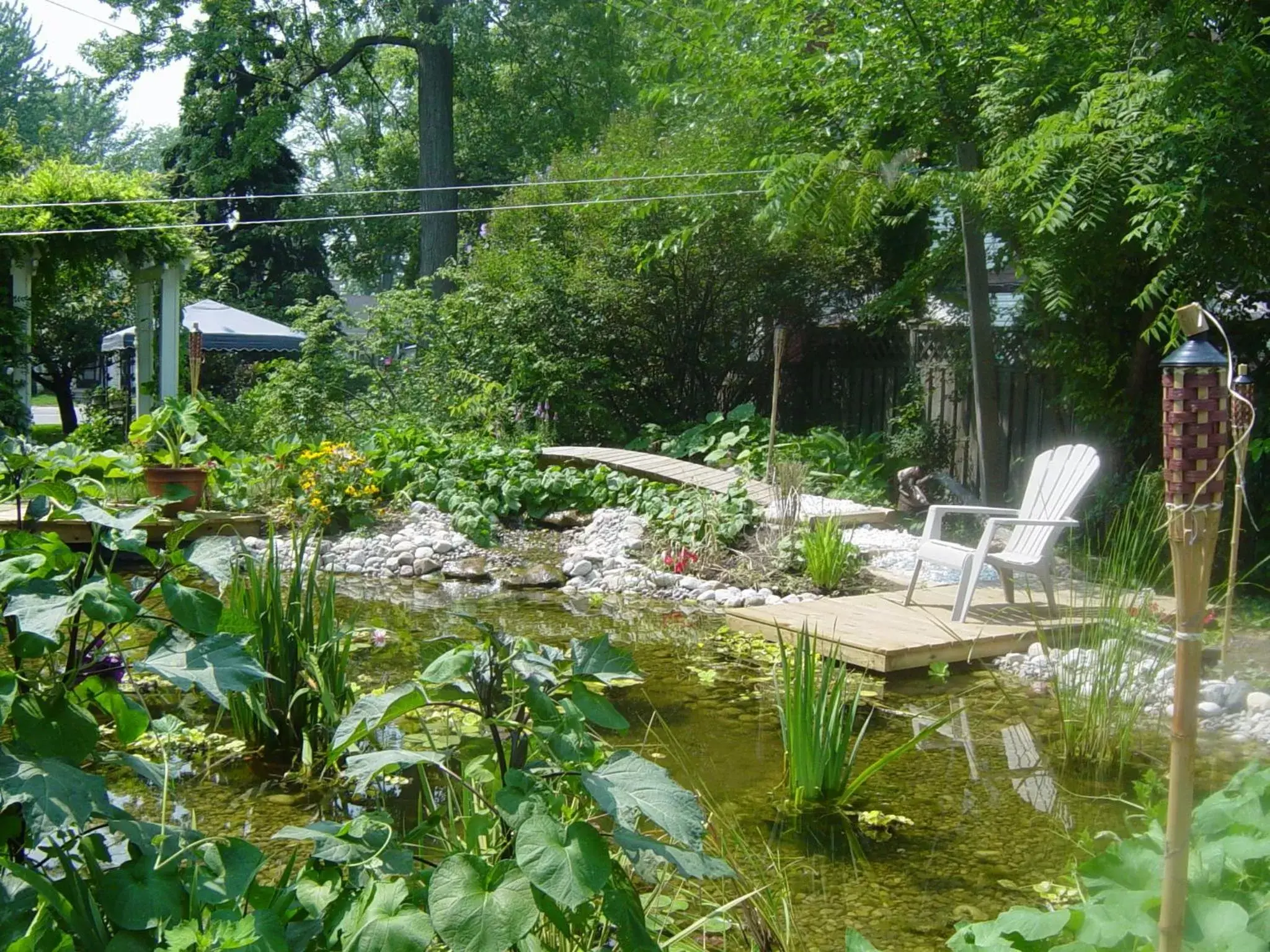 Garden view, Garden in Bondy House Bed & Breakfast