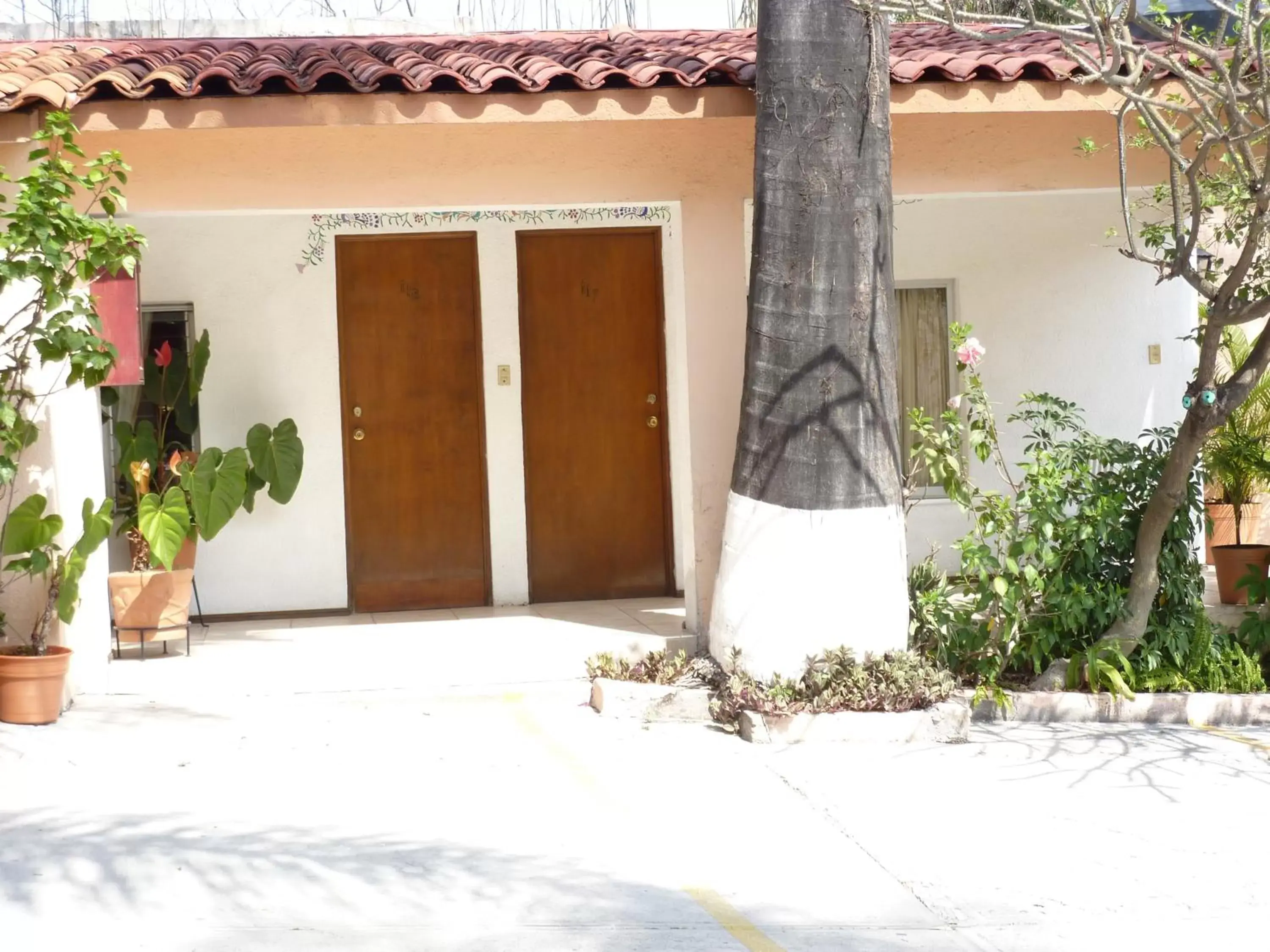 Facade/entrance in Hotel Bajo el Volcan