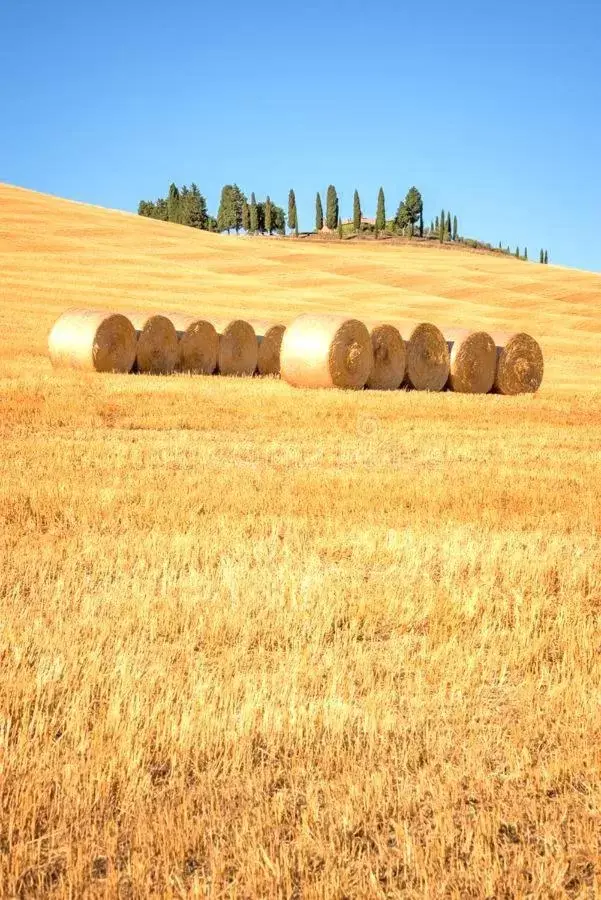 Natural landscape in Locanda Vesuna