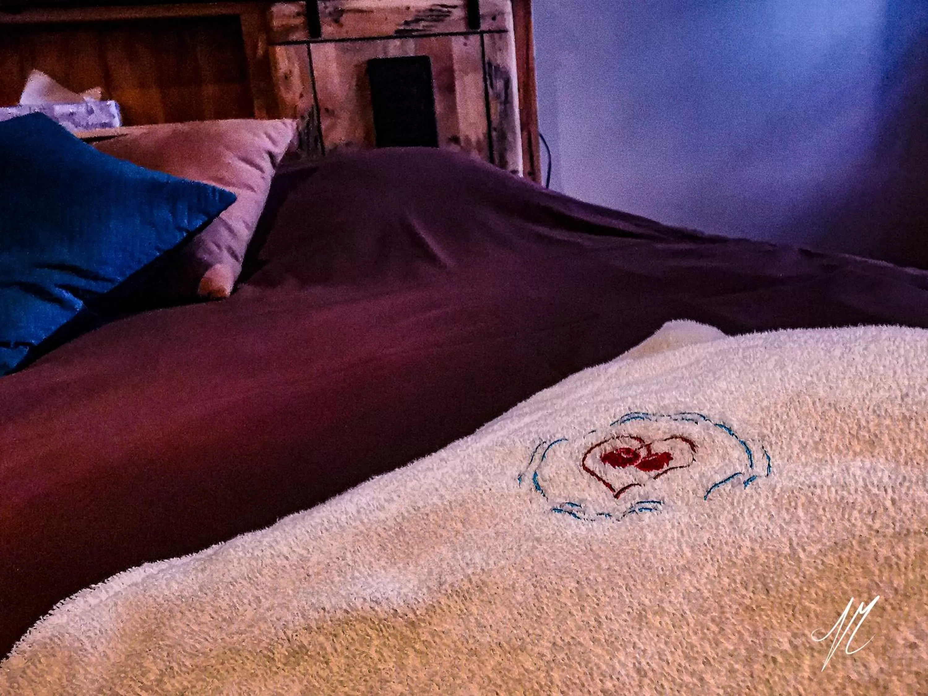 Bed in LA GRANGE DES FRANGINES