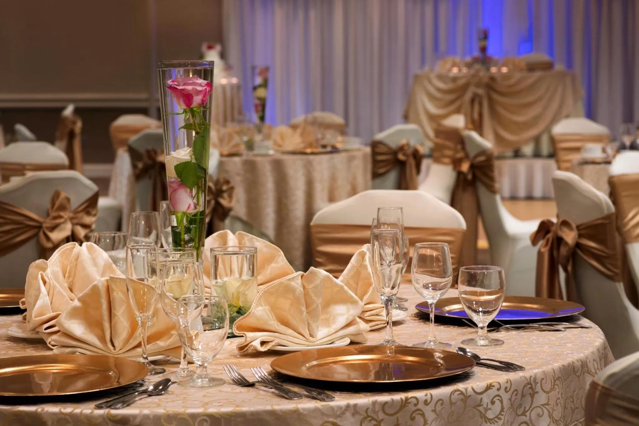Banquet/Function facilities in Holiday Inn Washington-Dulles International Airport by IHG