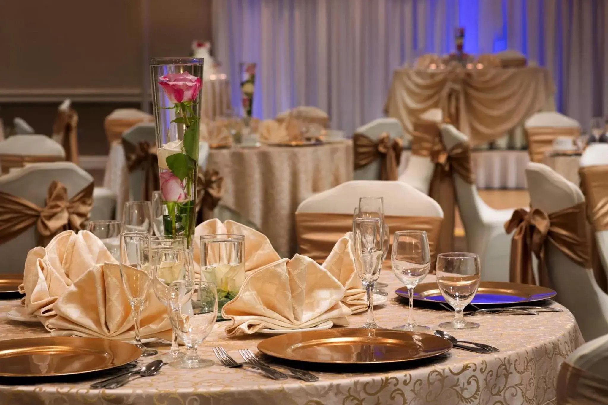 Banquet/Function facilities, Banquet Facilities in Holiday Inn Washington-Dulles International Airport, an IHG Hotel