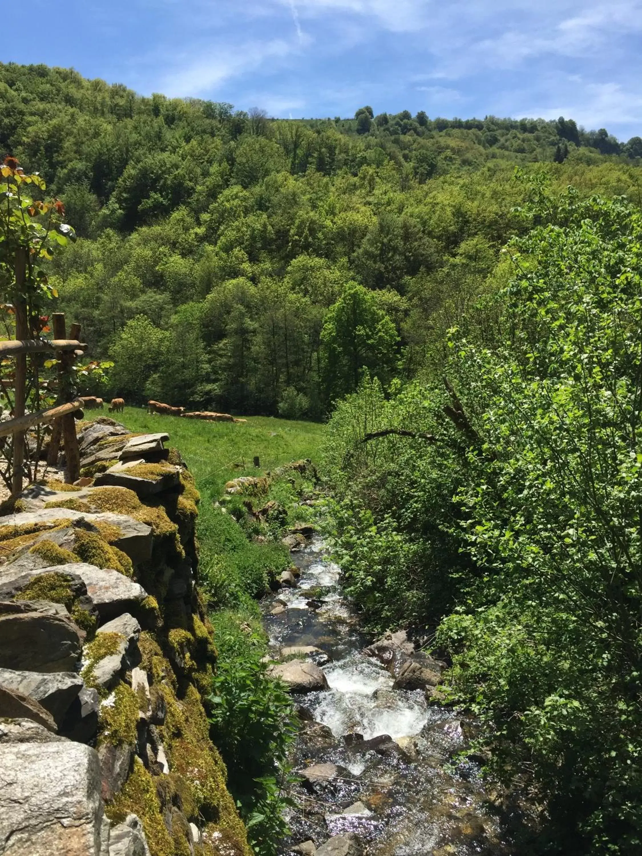 River view in Chambres et table d'hôtes Le Lepadou-Bas