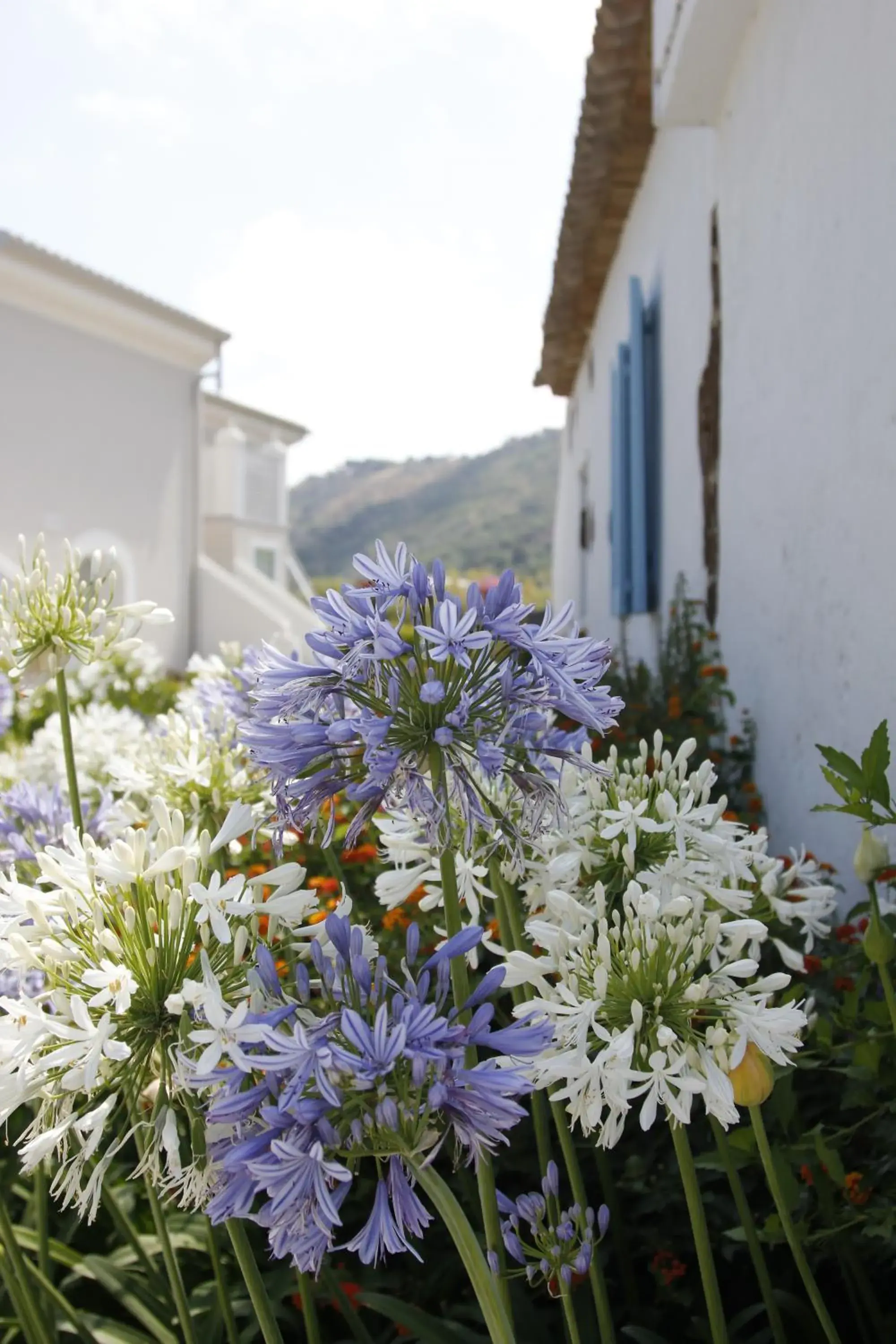 Facade/entrance, Property Building in Il Borghetto Creative Resort