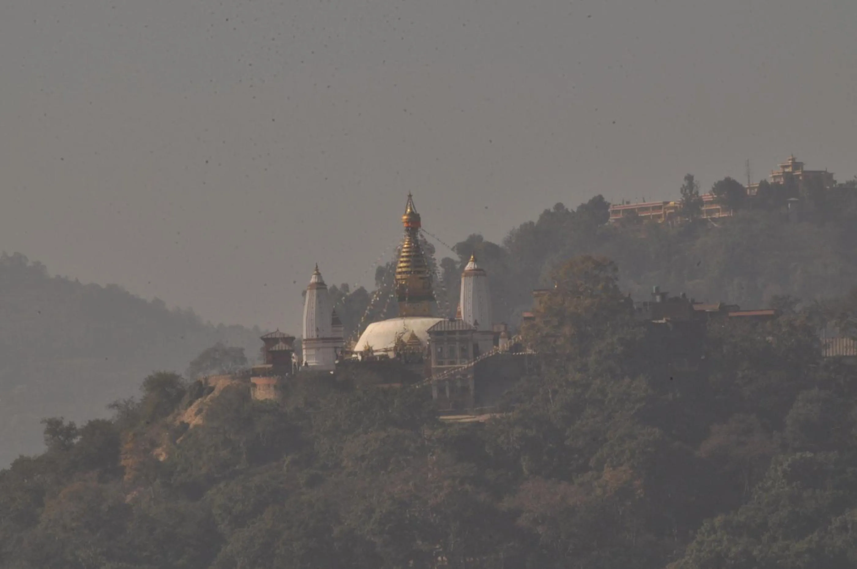 View (from property/room) in Tibet Guest House