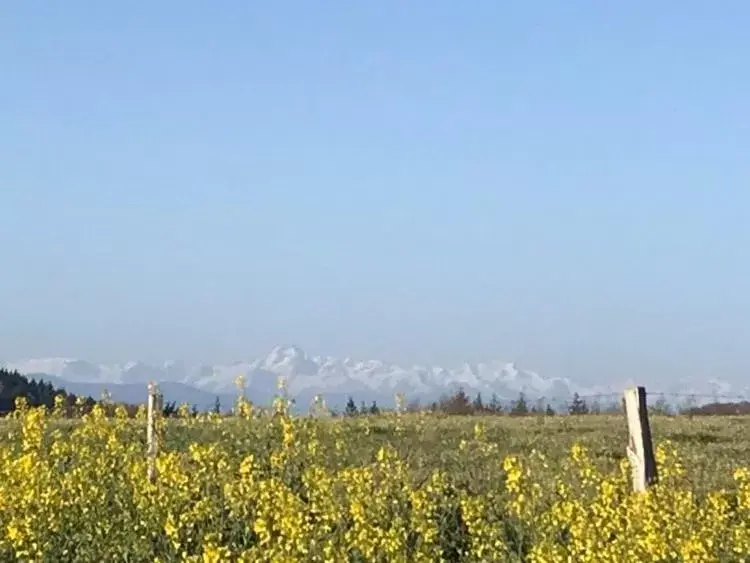 Mountain view in chambres d'hotes Labatut