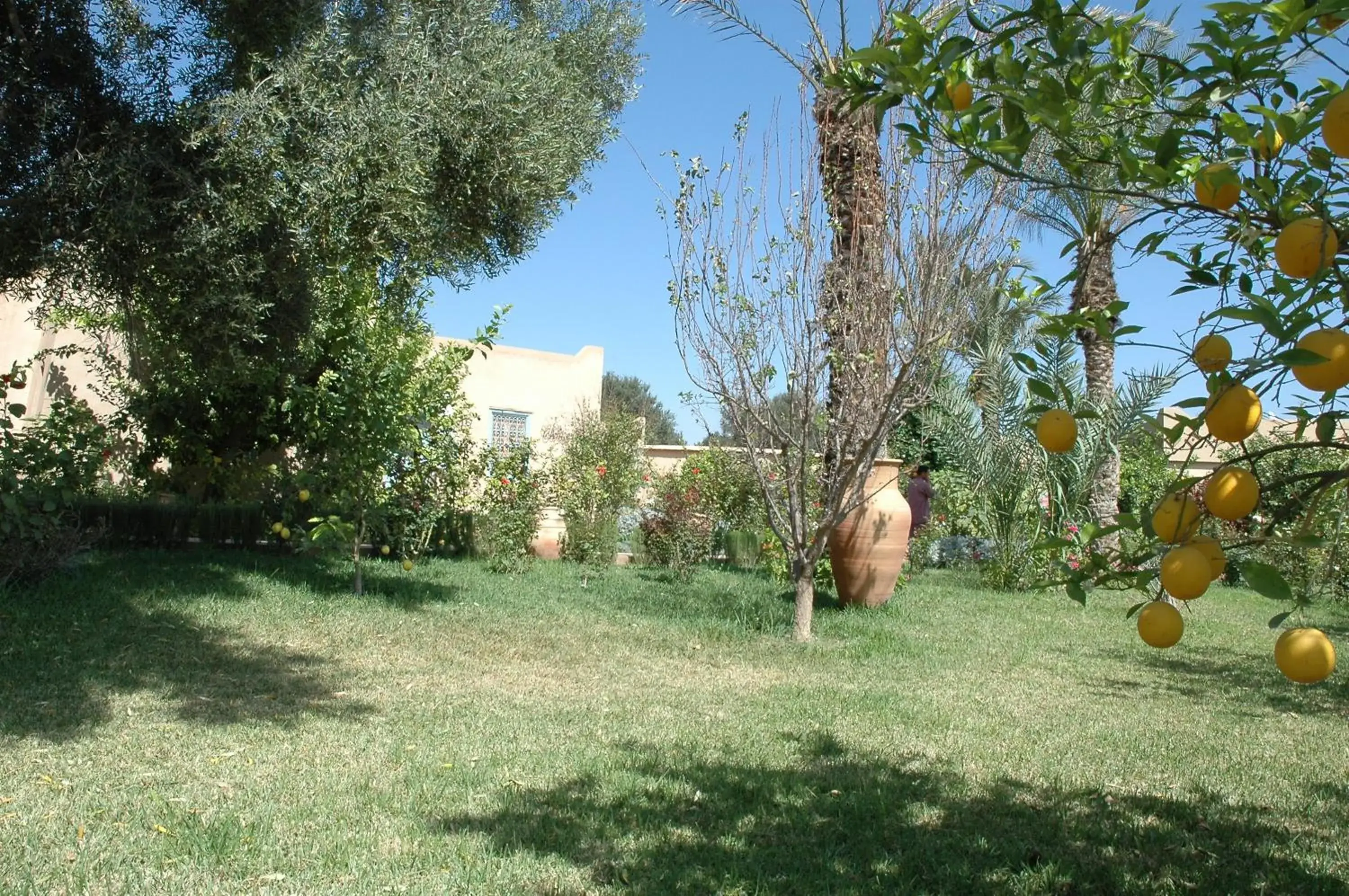 Garden in Hotel Dar Zitoune Taroudant