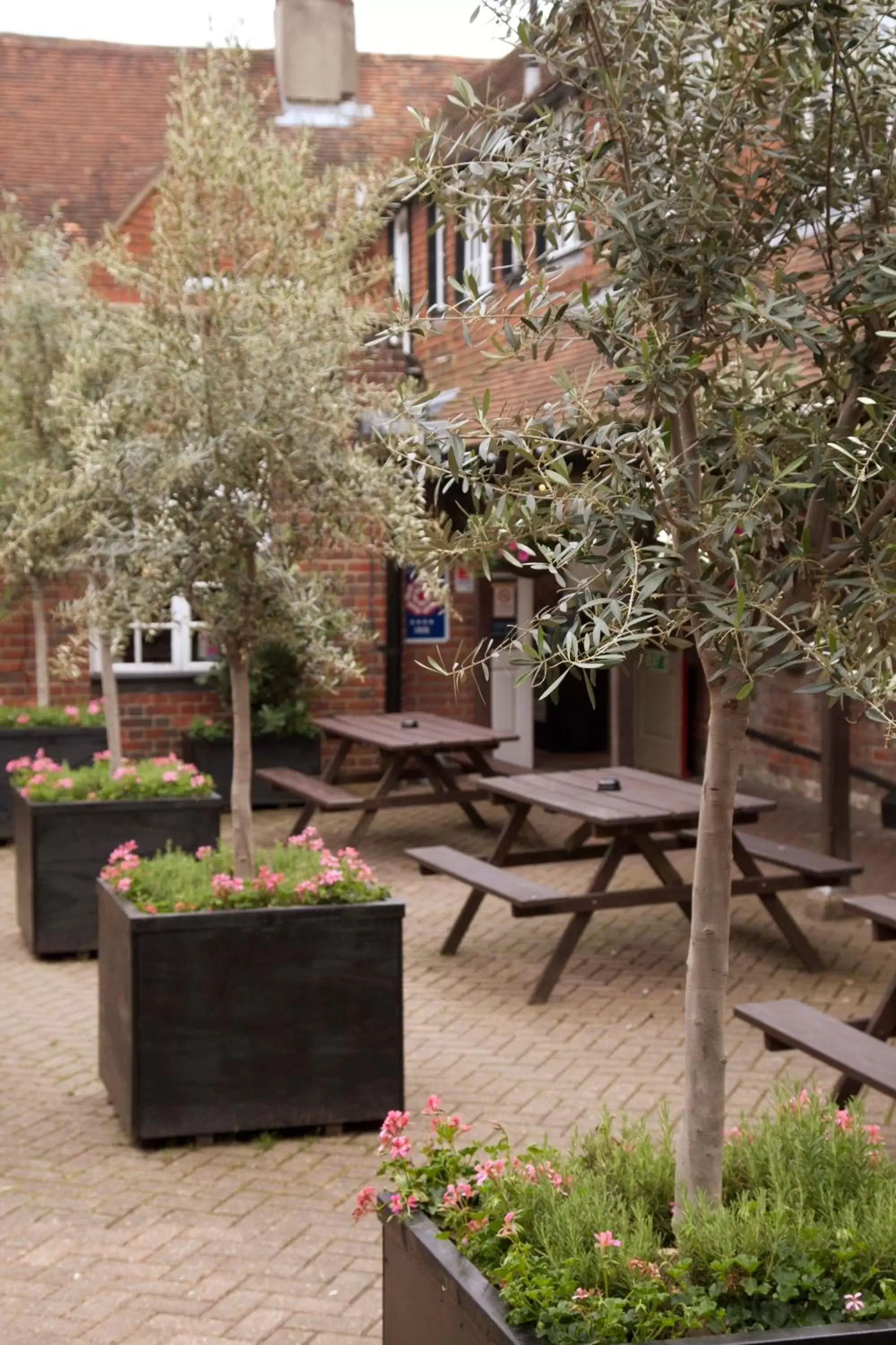 Facade/entrance in The Dog & Bear Hotel Facade/entrance in The Dog & Bear Hotel