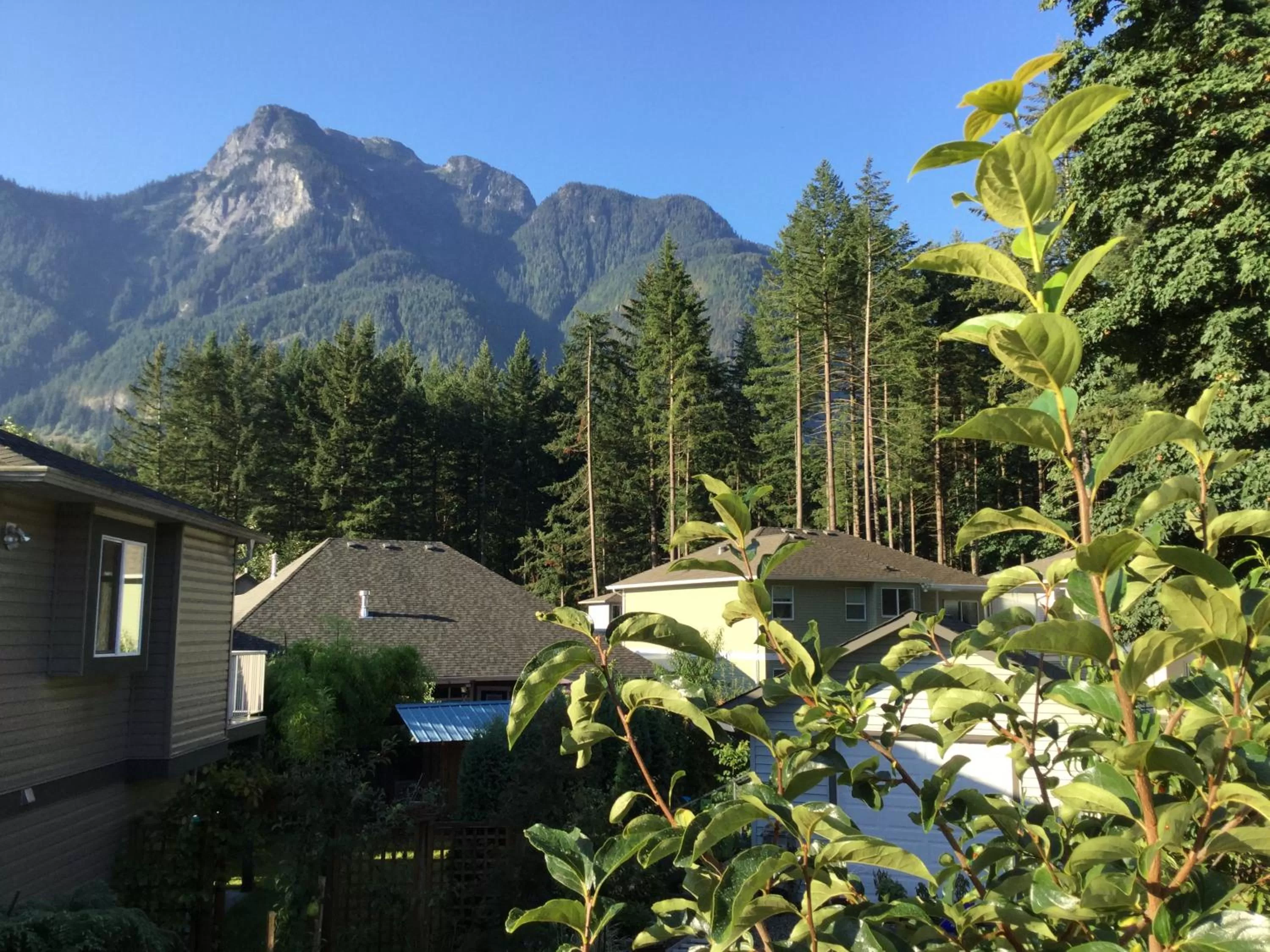 Spa and wellness centre/facilities, Pool View in Hope Springs Eternal Bed and Breakfast