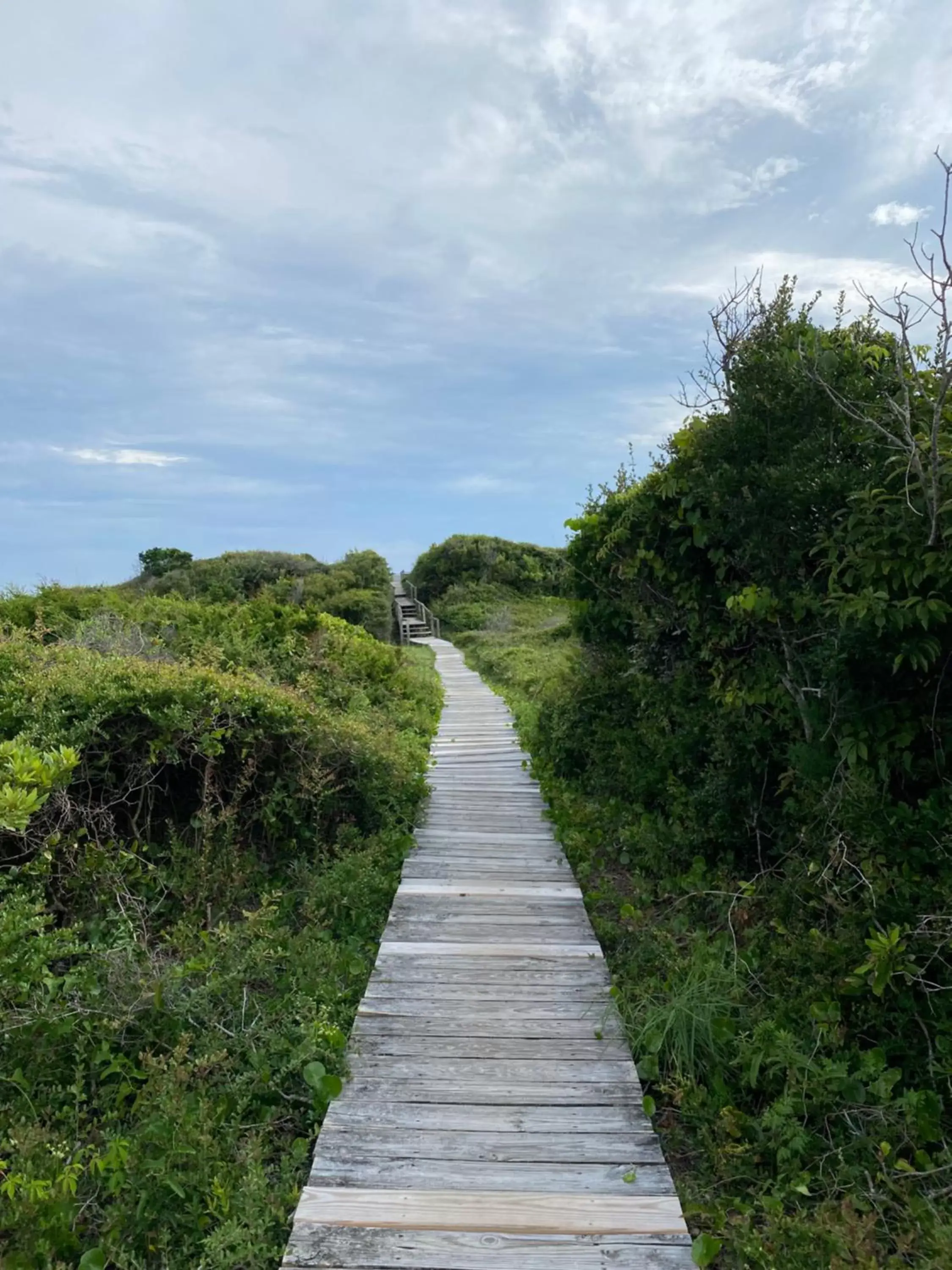 Natural Landscape in Salter Path Inn