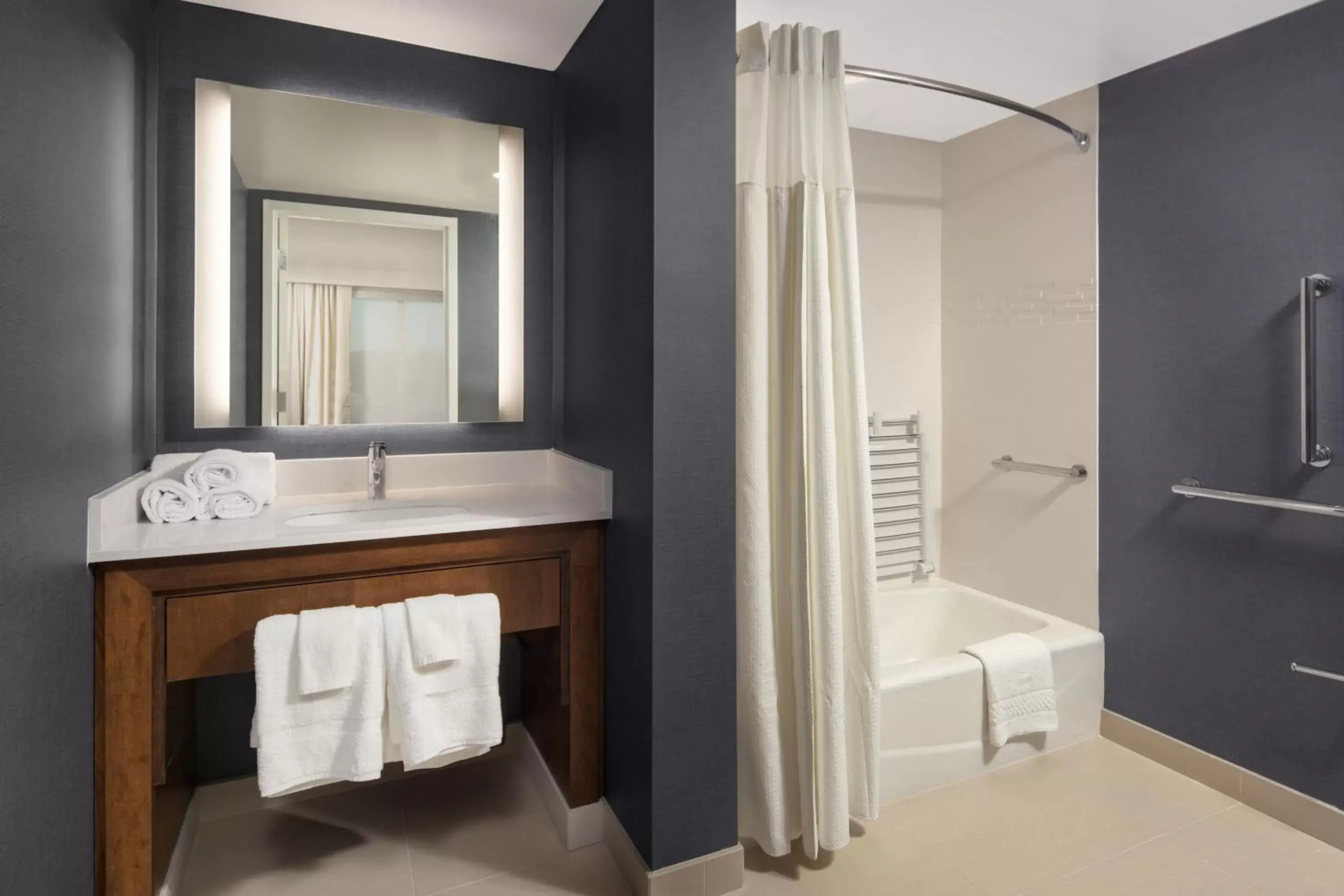 Bathroom in Residence Inn by Marriott Tampa Wesley Chapel