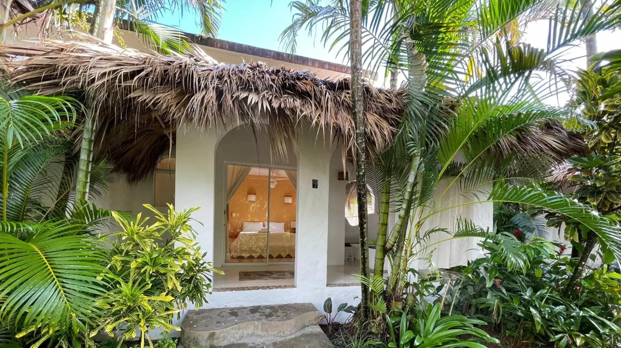 Garden view, Property Building in Hotel La Tortuga