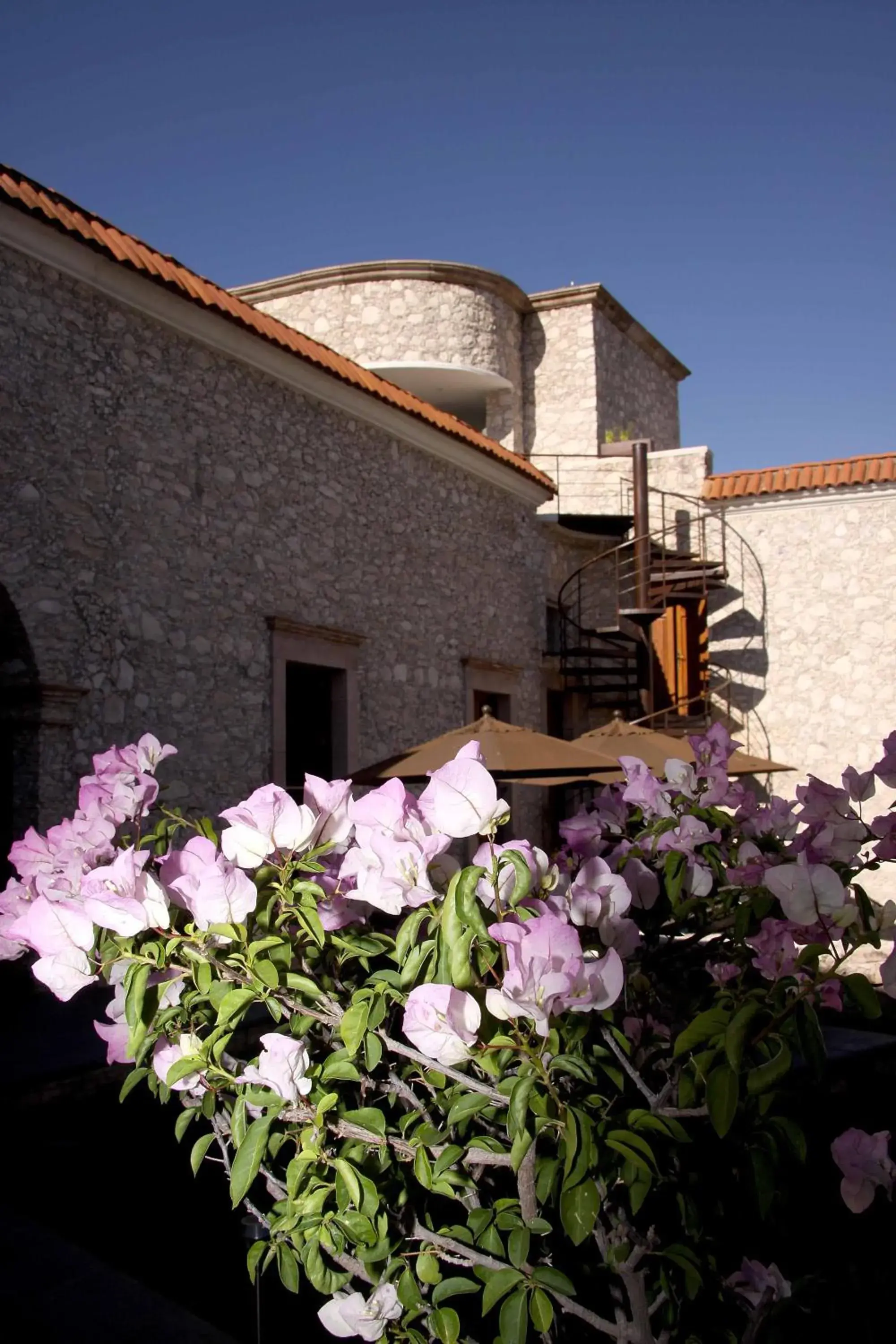 Garden, Property Building in Casa Mateo Hotel Boutique