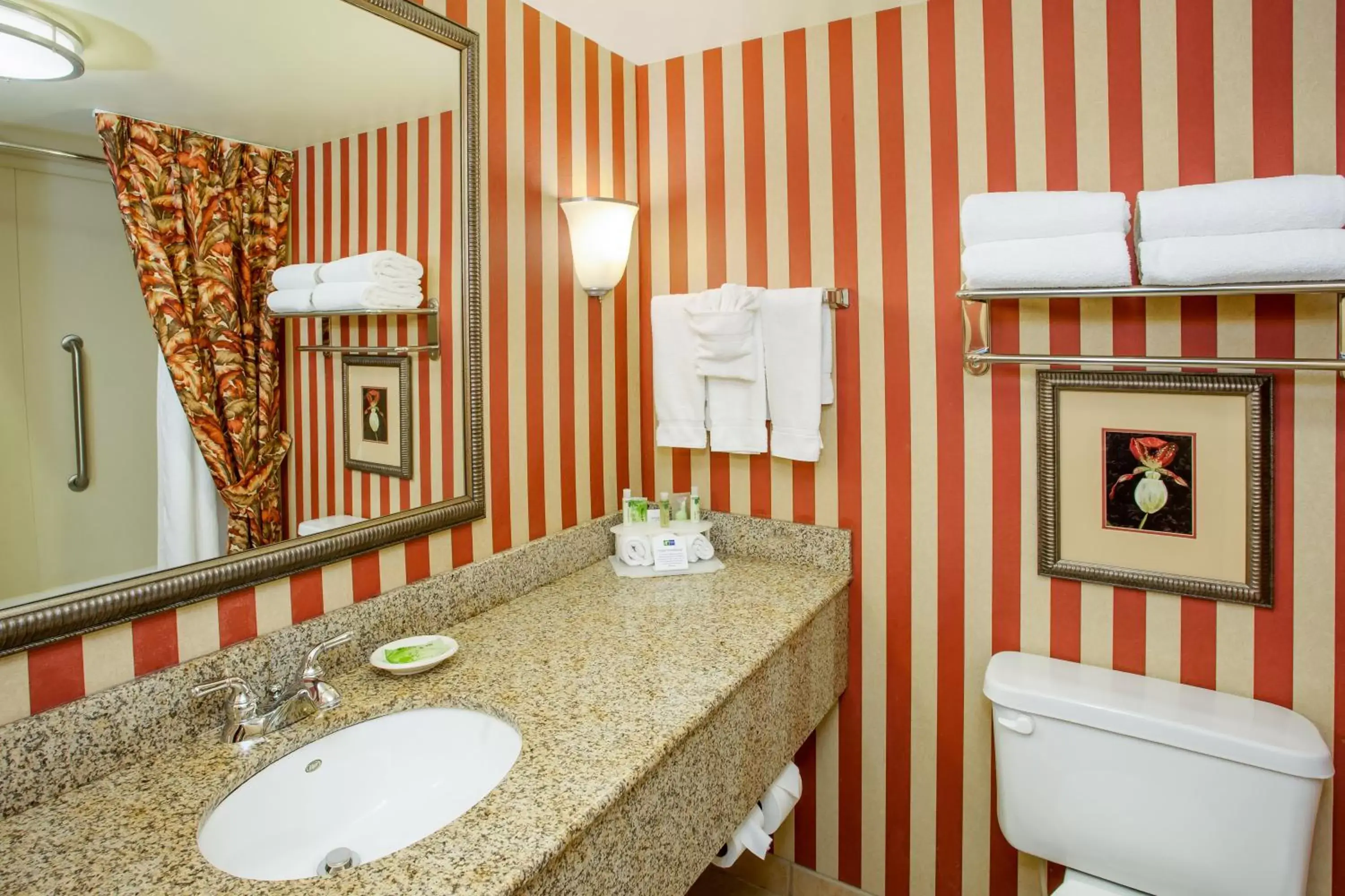 Bathroom in Holiday Inn Express & Suites Bloomington, an IHG Hotel