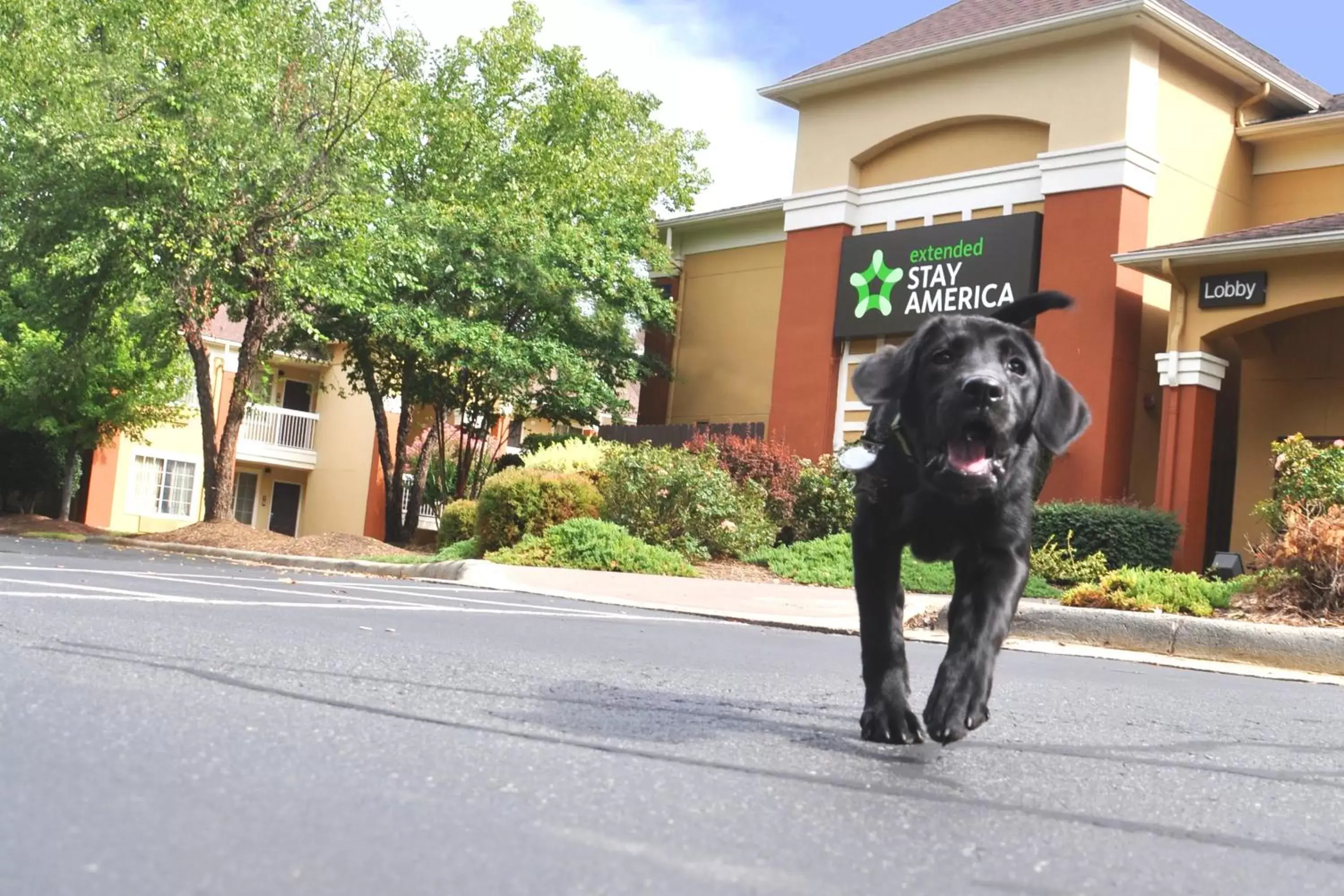 Pets in Extended Stay America Suites - Dayton - South