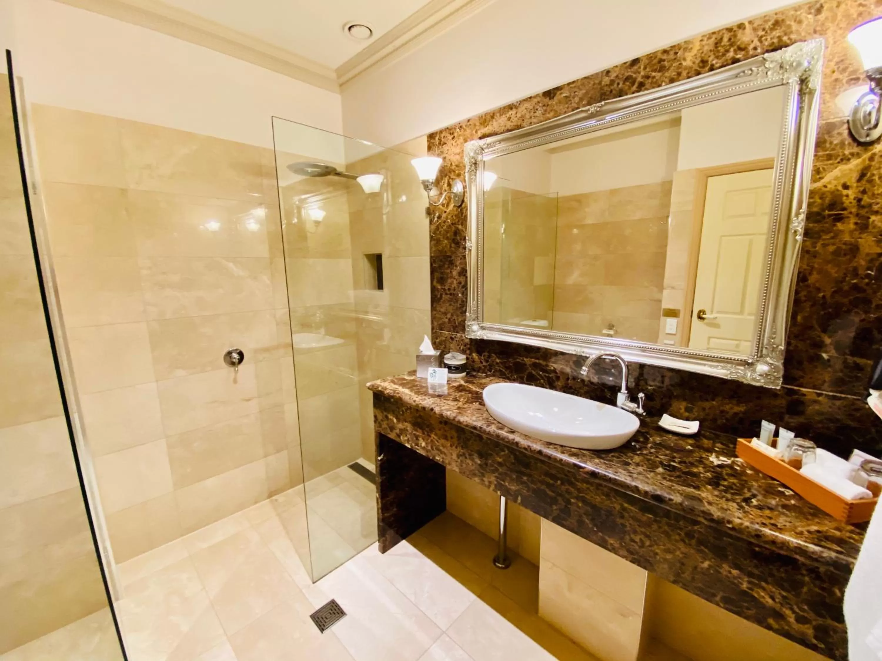 Shower in Royal Albert Hotel