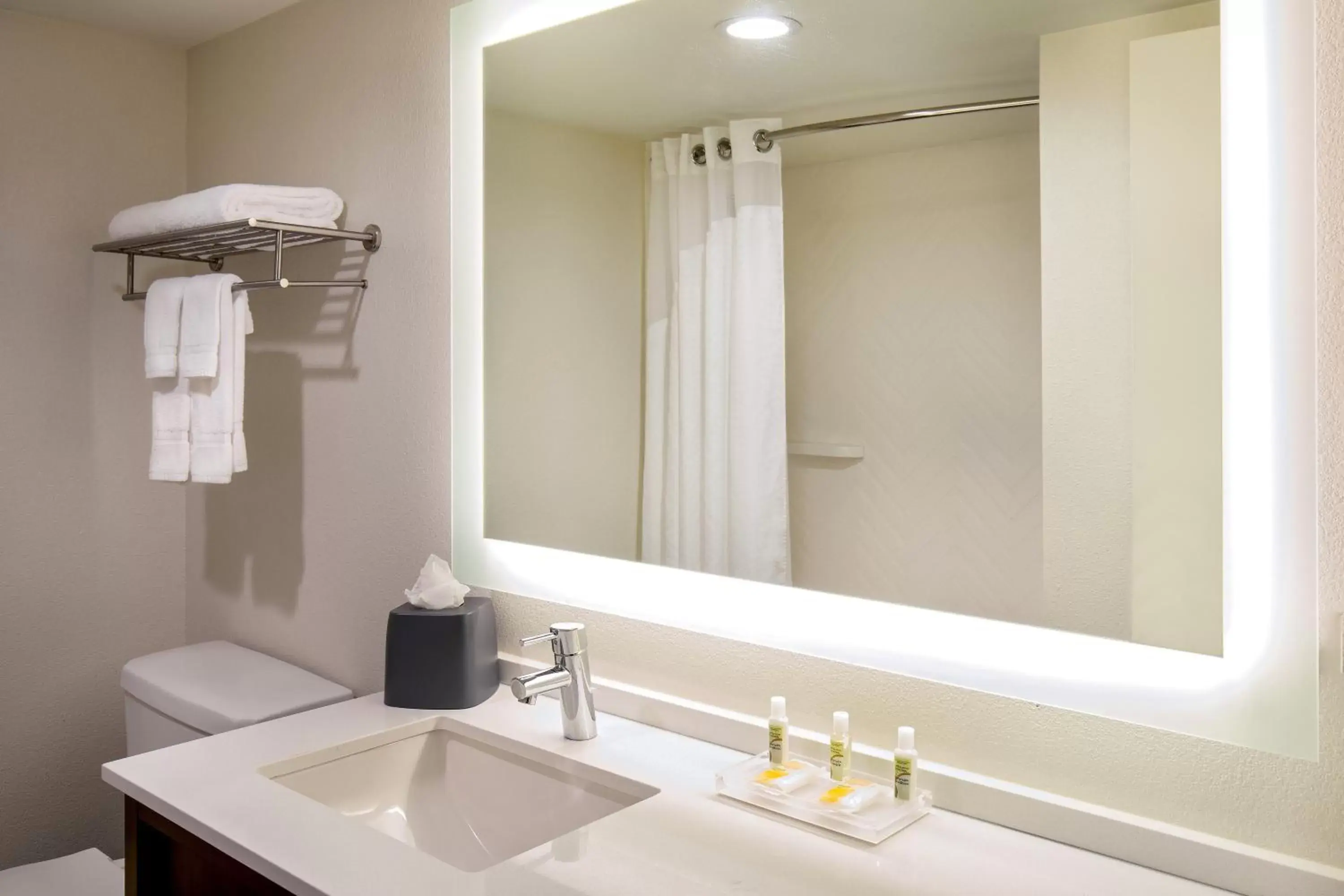 Bathroom in Holiday Inn Newport News - Hampton, an IHG Hotel