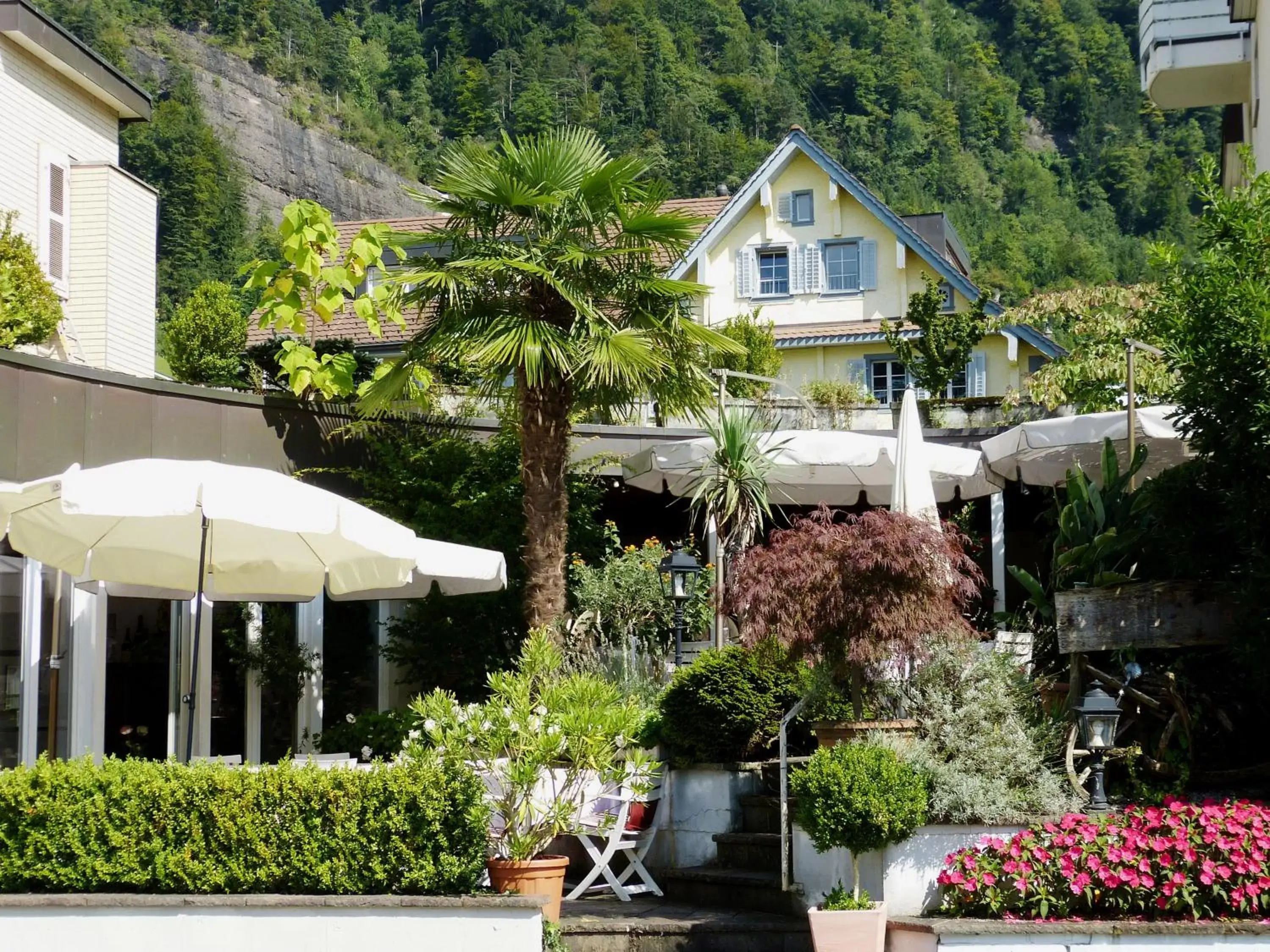 Summer, Property Building in Hotel Rigi Vitznau