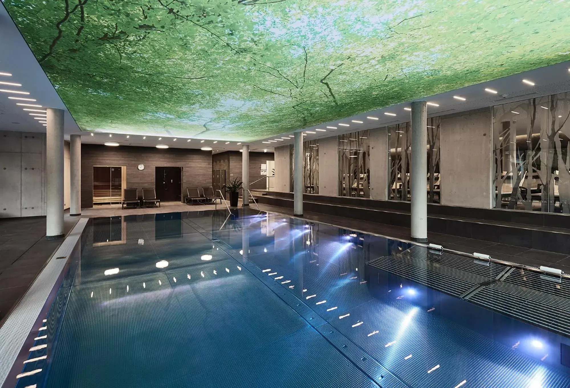 Hot Tub, Swimming Pool in Hotel Der Waldhof