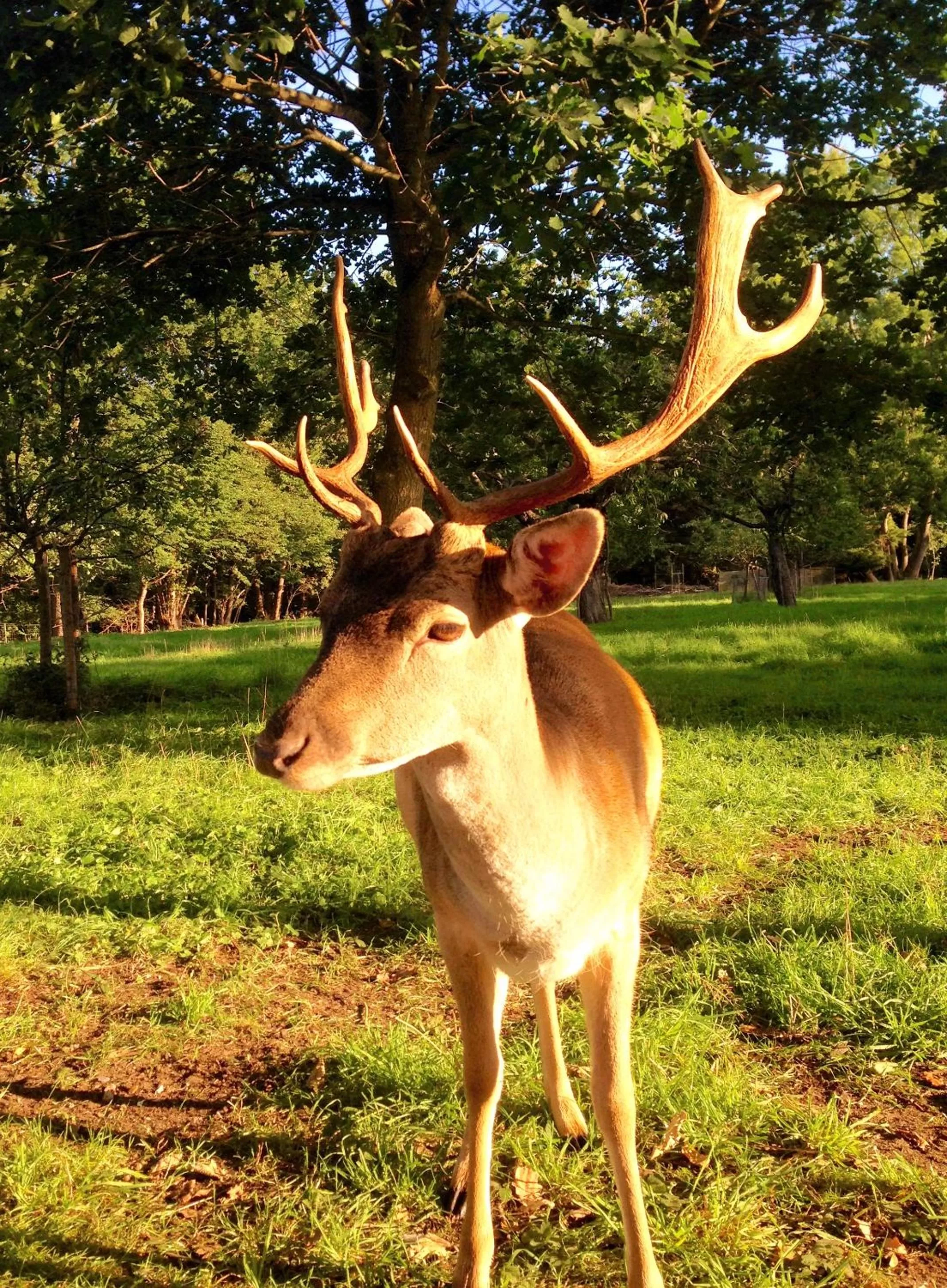 Hiking in Hotel Holsteinische Schweiz am Dieksee