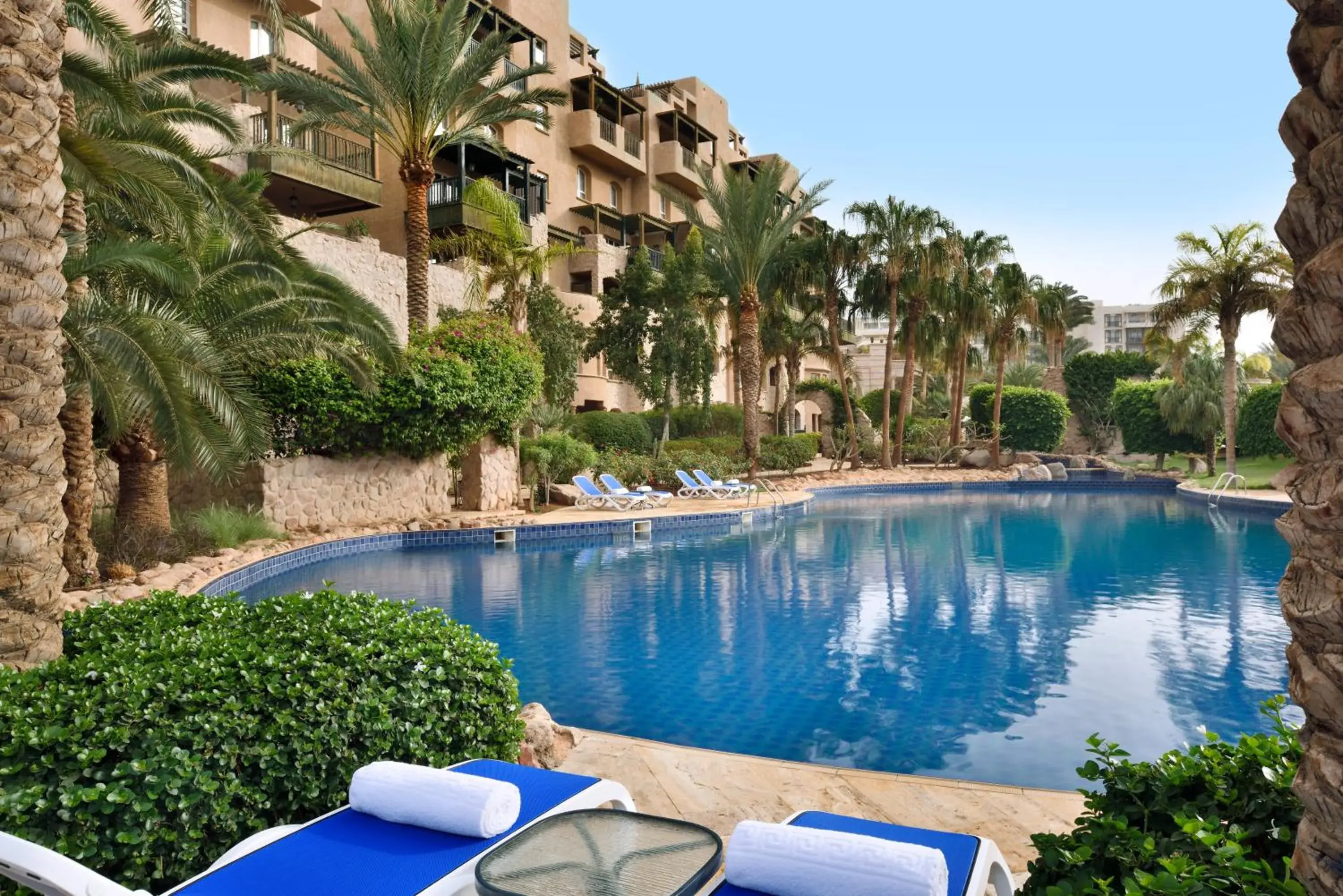 Spring, Swimming Pool in Movenpick Resort & Residences Aqaba