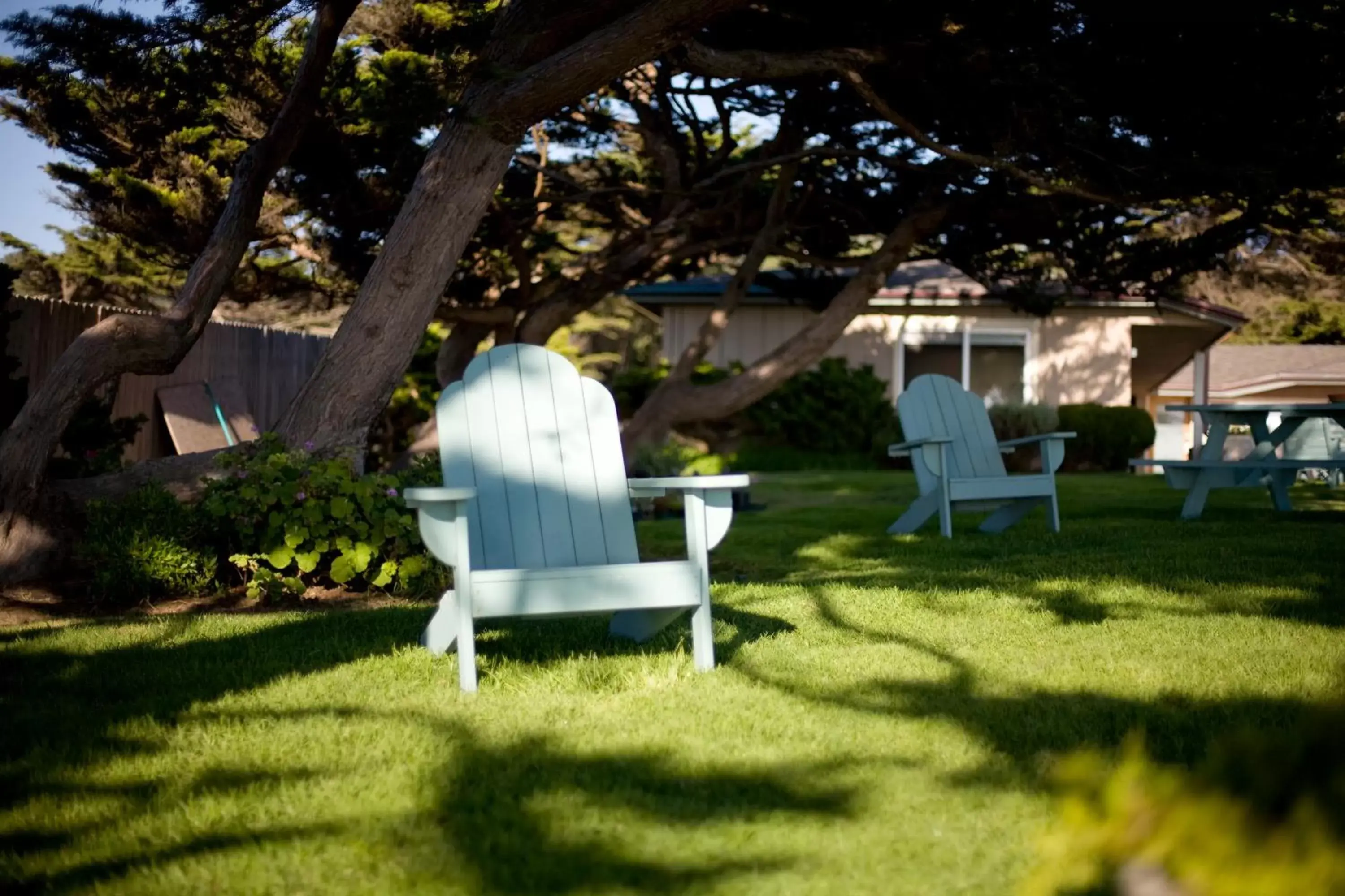 Garden in Cambria Shores Inn